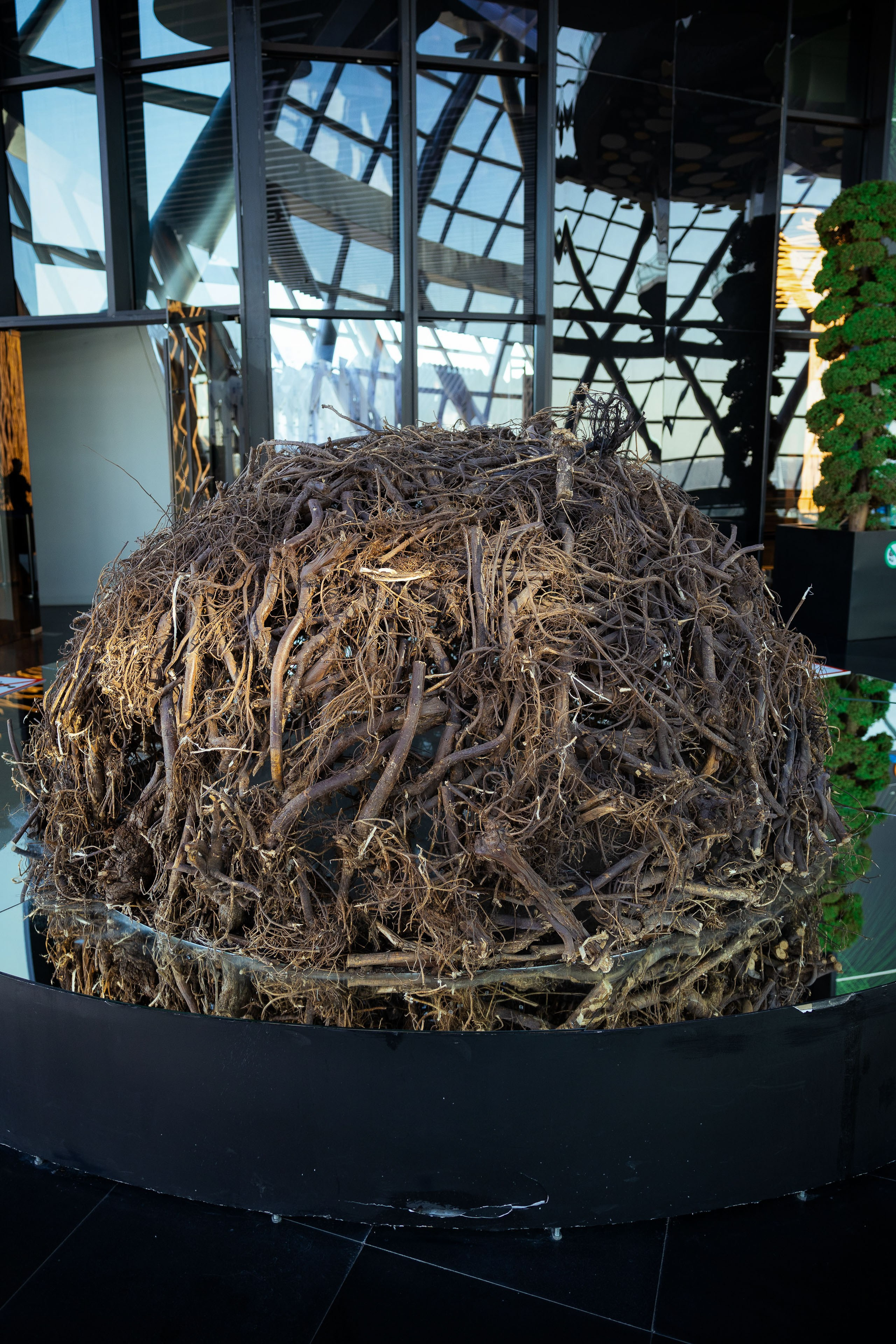 Казахстан (осень 2024). Фотограф Виноградов Константин