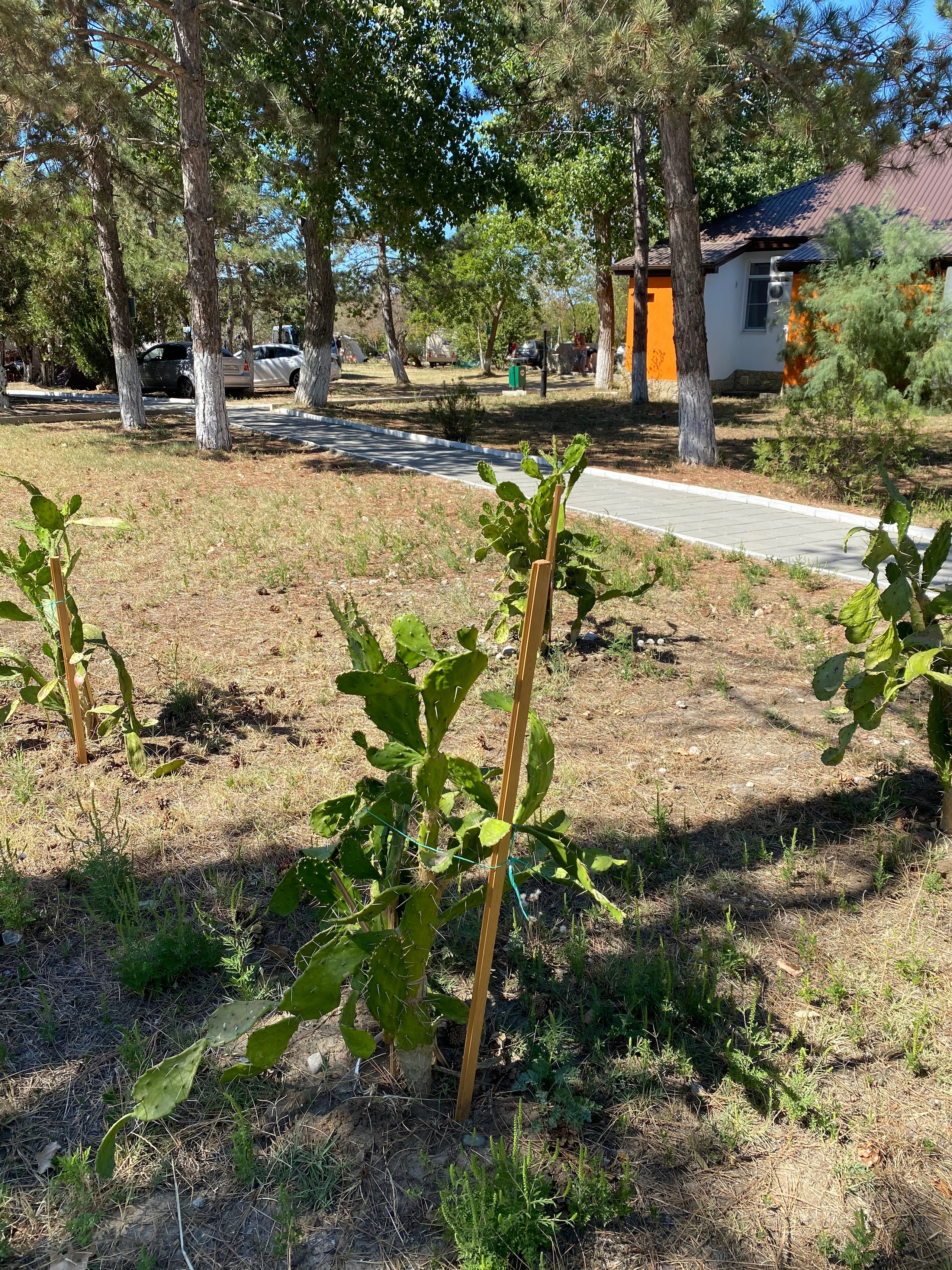 Анапа — 20. Своя Мастерская