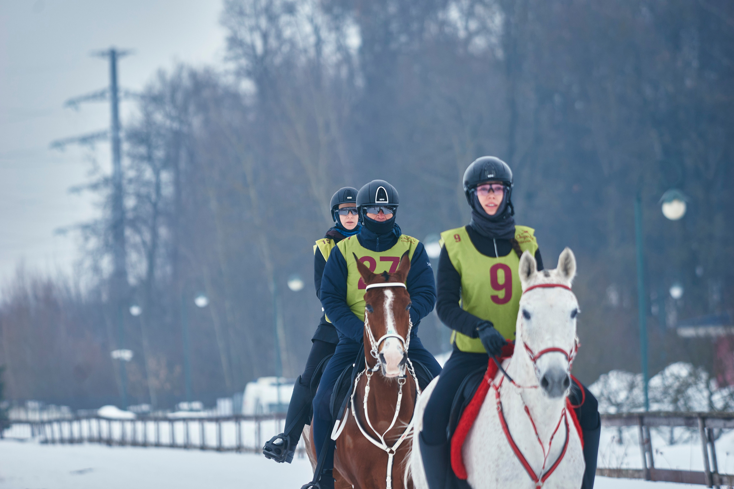 HORSE RACING. Фотограф Наталья Леонова