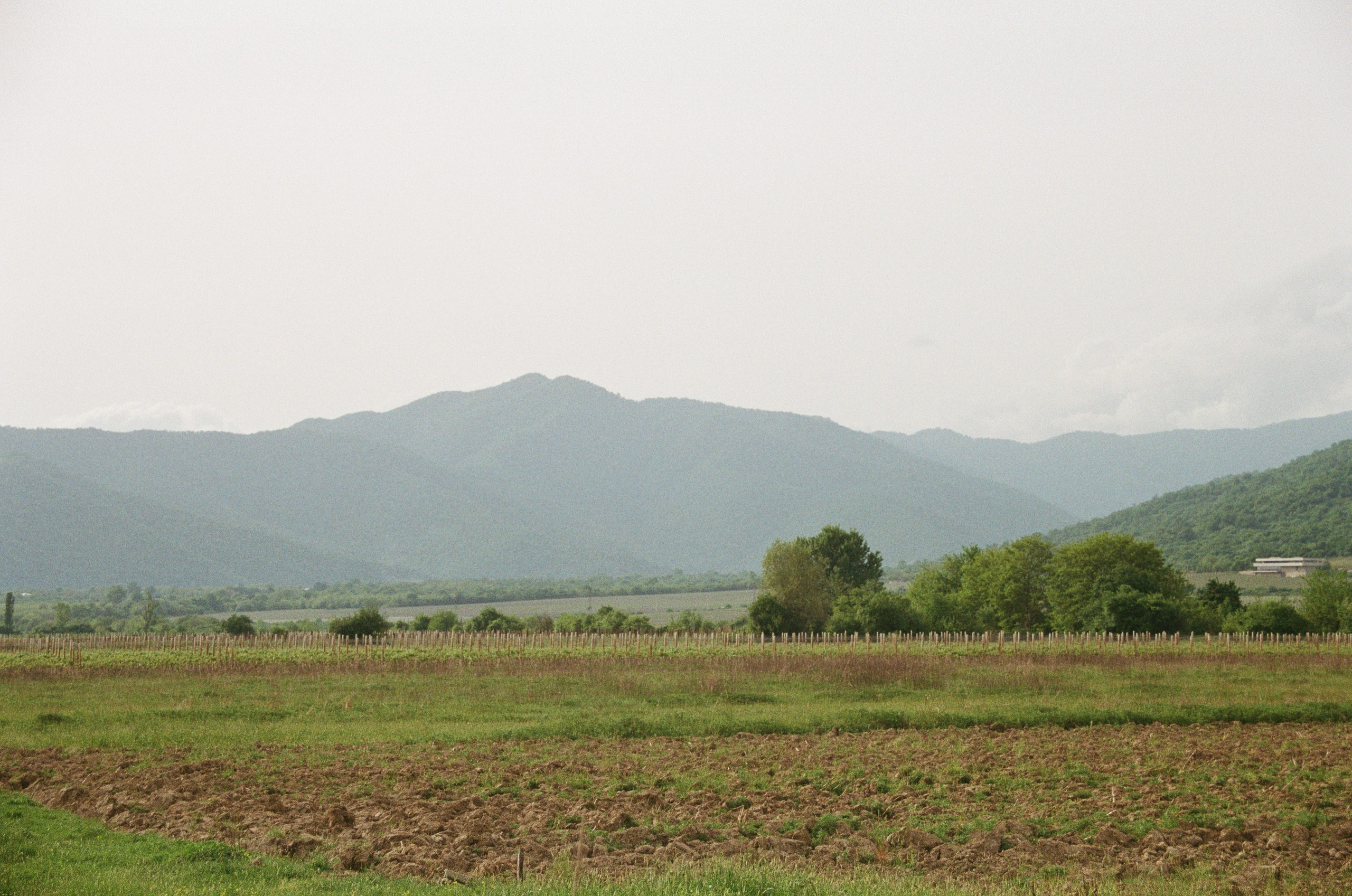 Кахетия: Семён и Лейла. Свадебный и индивидуальный фотограф Татьяна Гуляева
