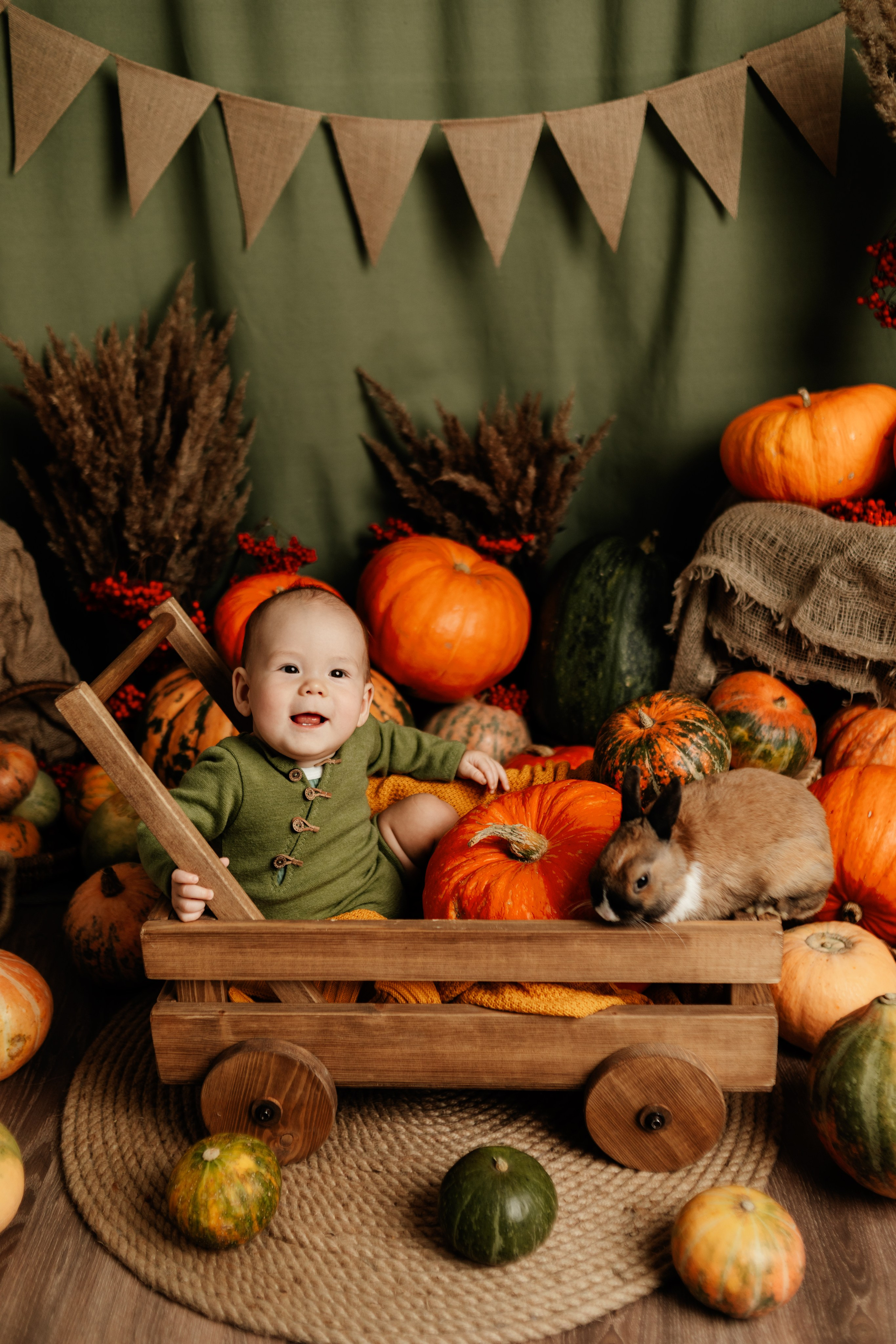 Фотопроекты. Фотограф новорождённых семейный фотограф Томск Елена Каплина