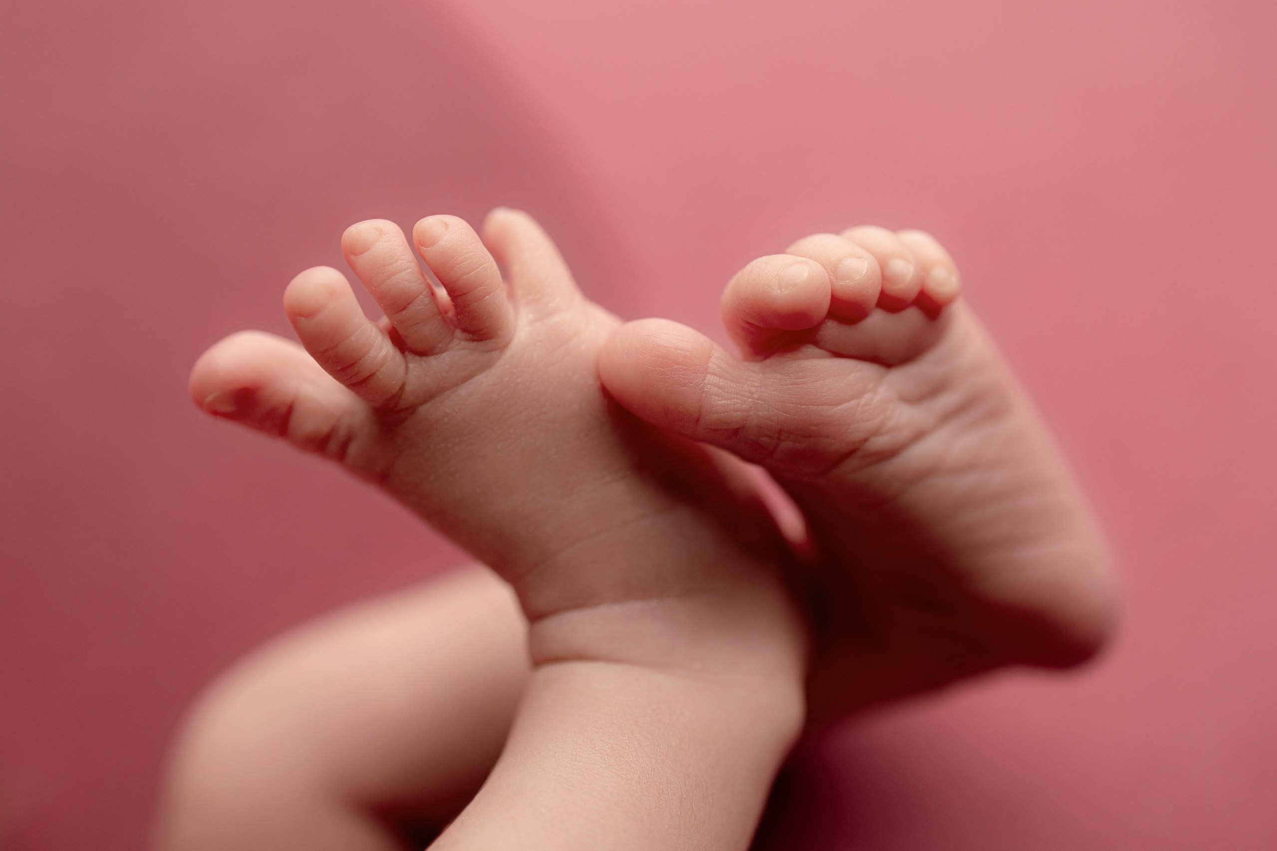 Алеся, 11 дней. Фотограф новорожденных newborn ньюборн в Москве