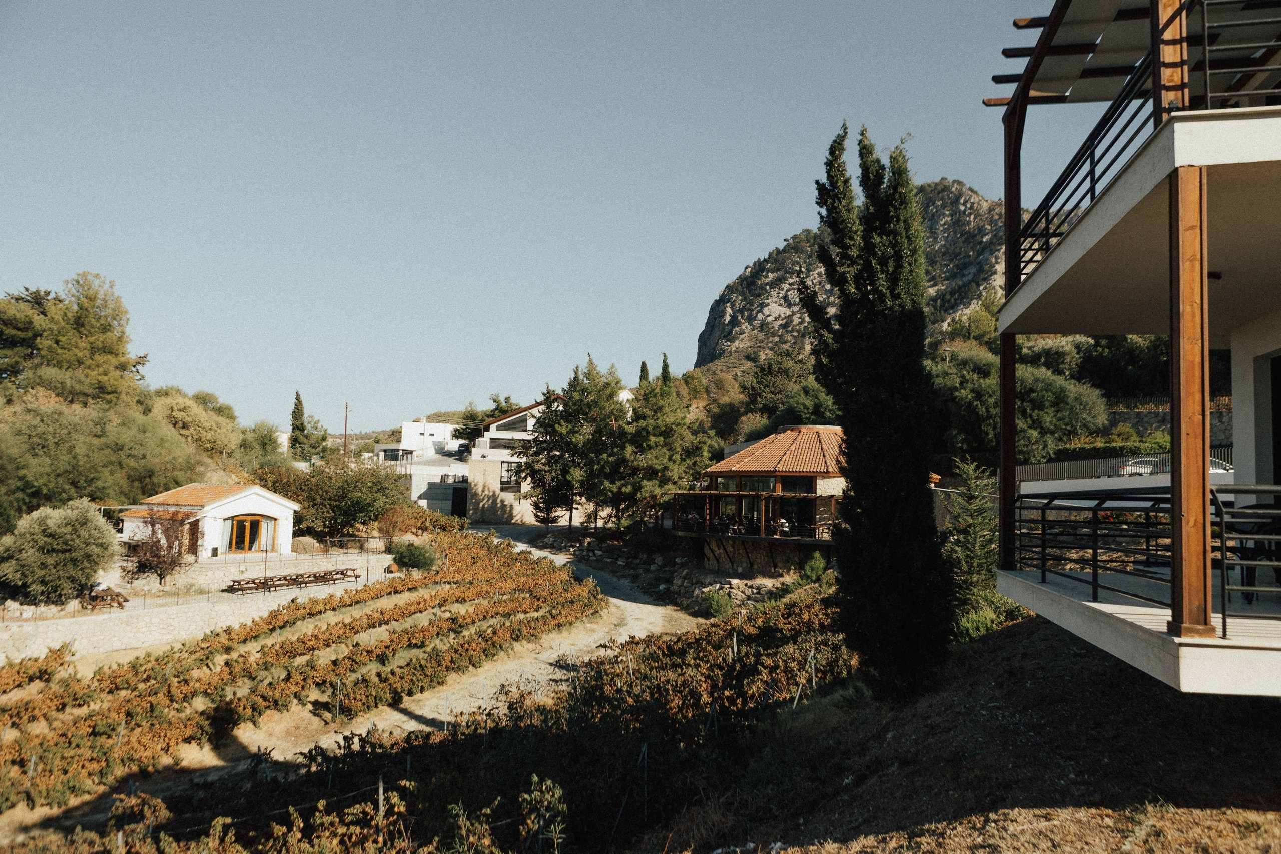 L&A. Фотограф в Батуми Павел Шарников