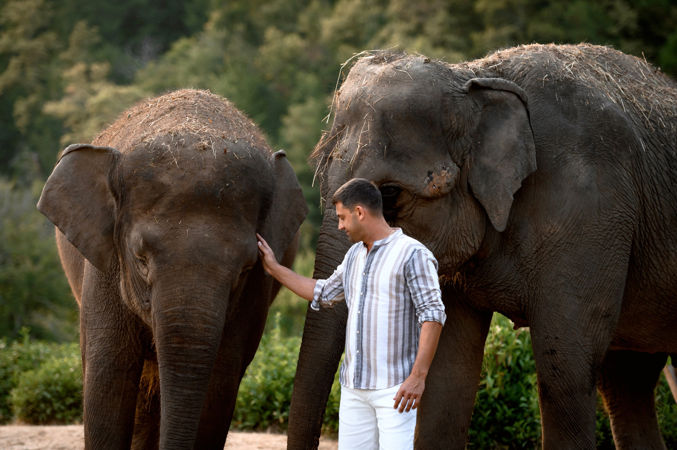 Ангелина и Вячеслав. Фотограф в сочи Свадебный фотограф Сочи