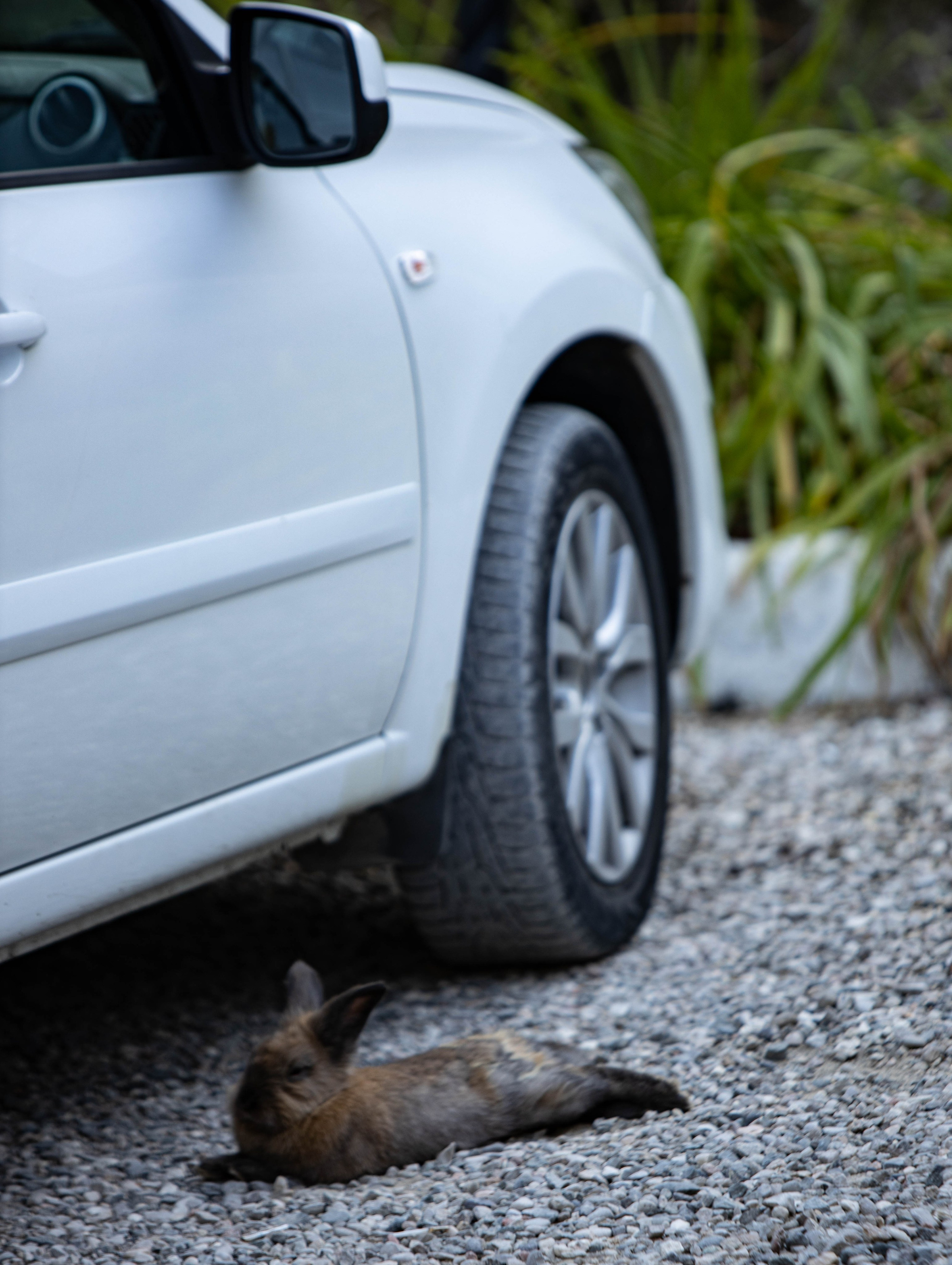 Семья Сулимы (Каньон). Фотограф Елена Варзиева