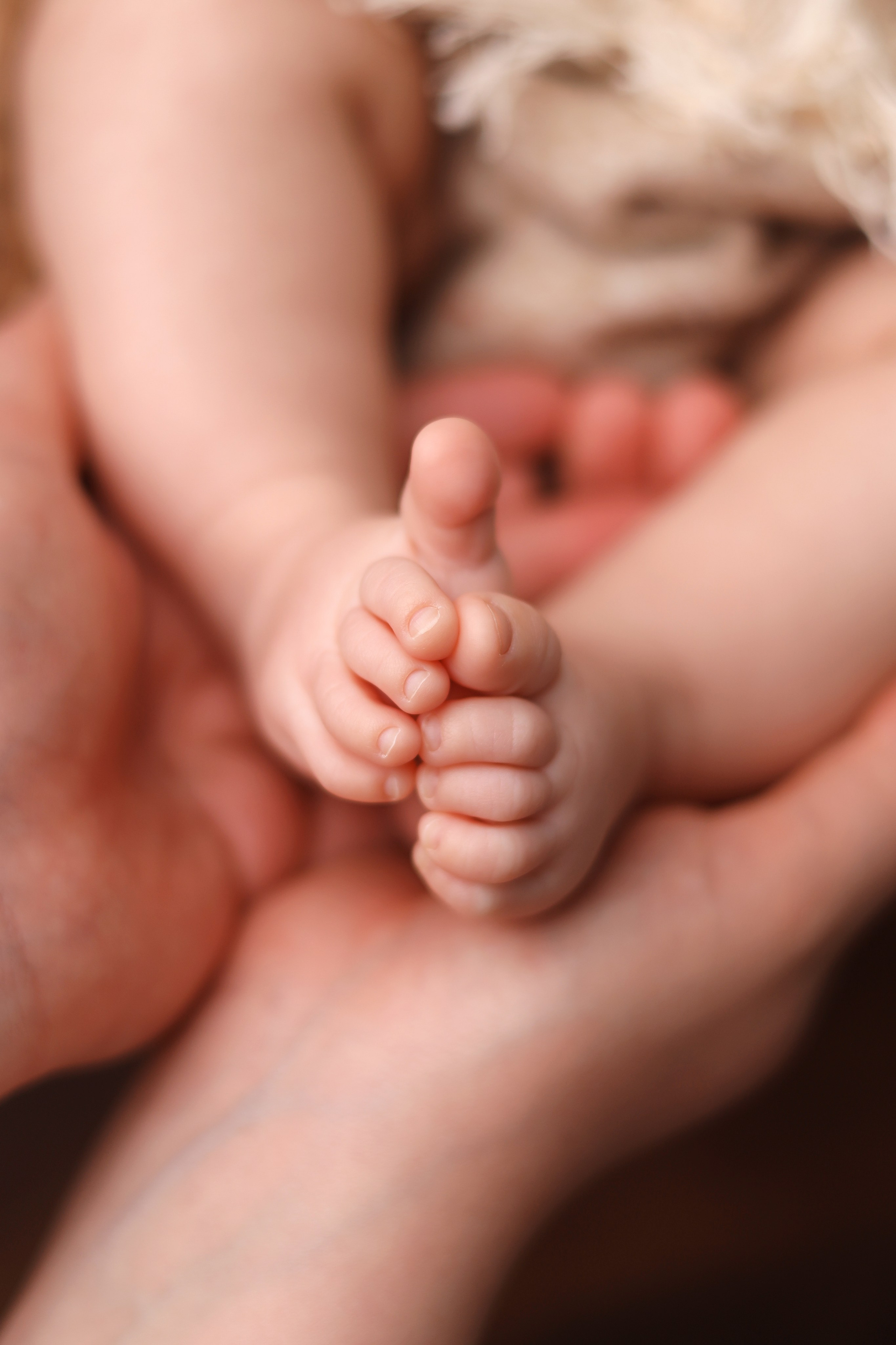 Мире 2,5 месяца. Фотограф новорожденных Москва. Ньюборн фотограф Москва