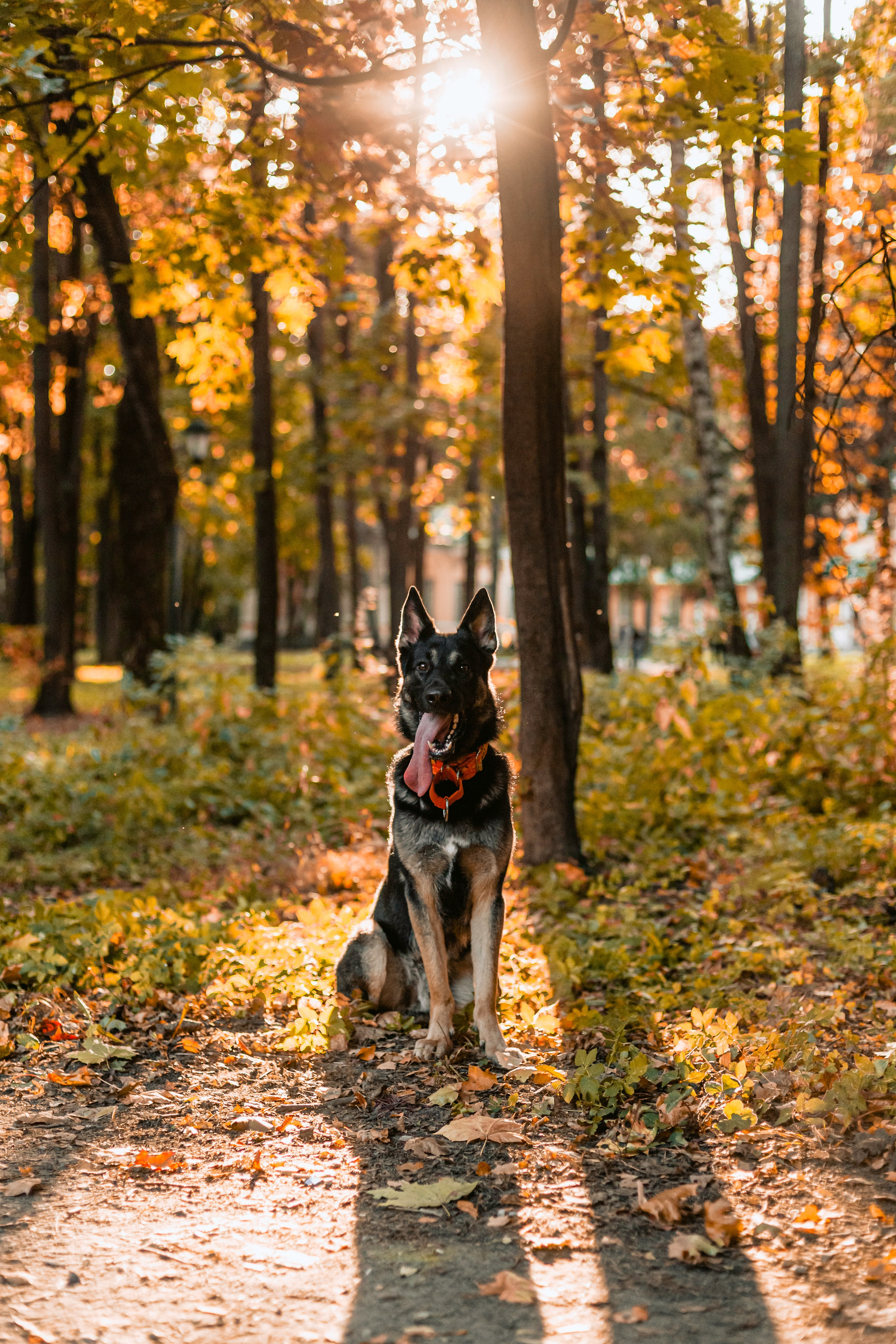Илай. Фотограф-анималист Татьяна Степанова