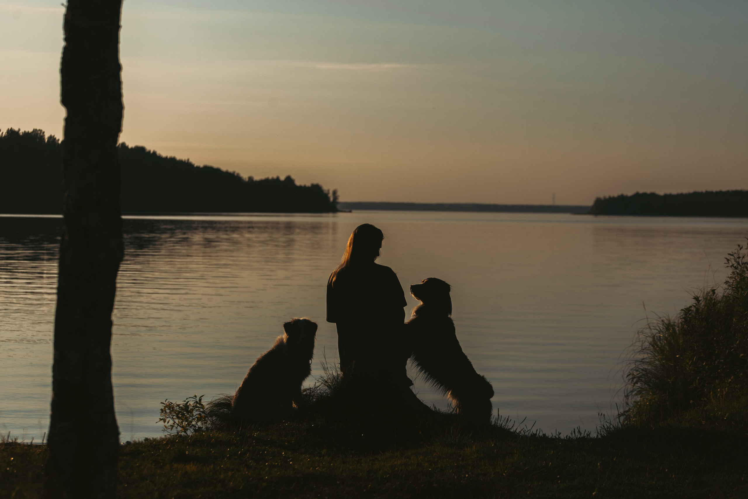 Фотограф-анималист Татьяна Степанова