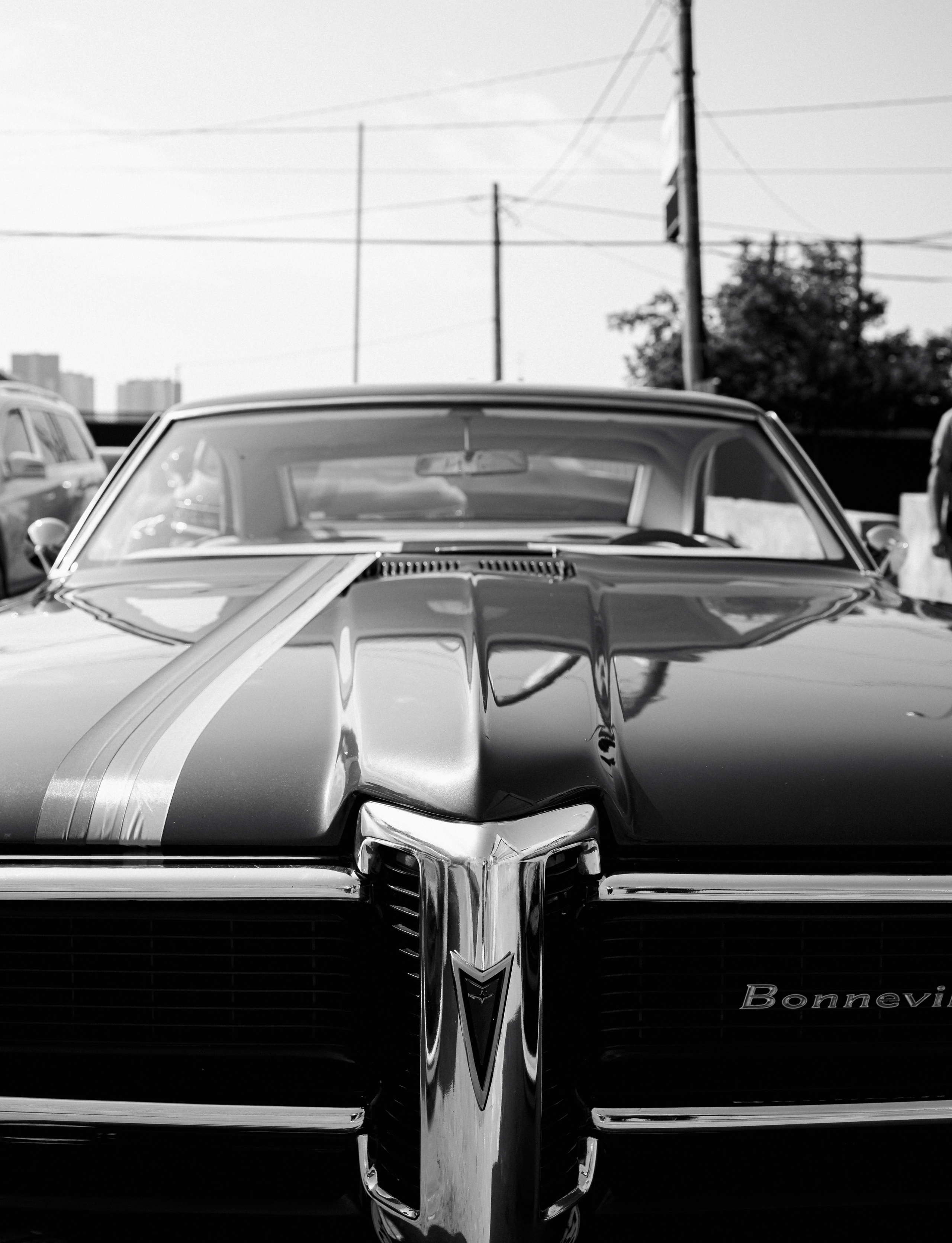 Фотограф Алина Мкртычева