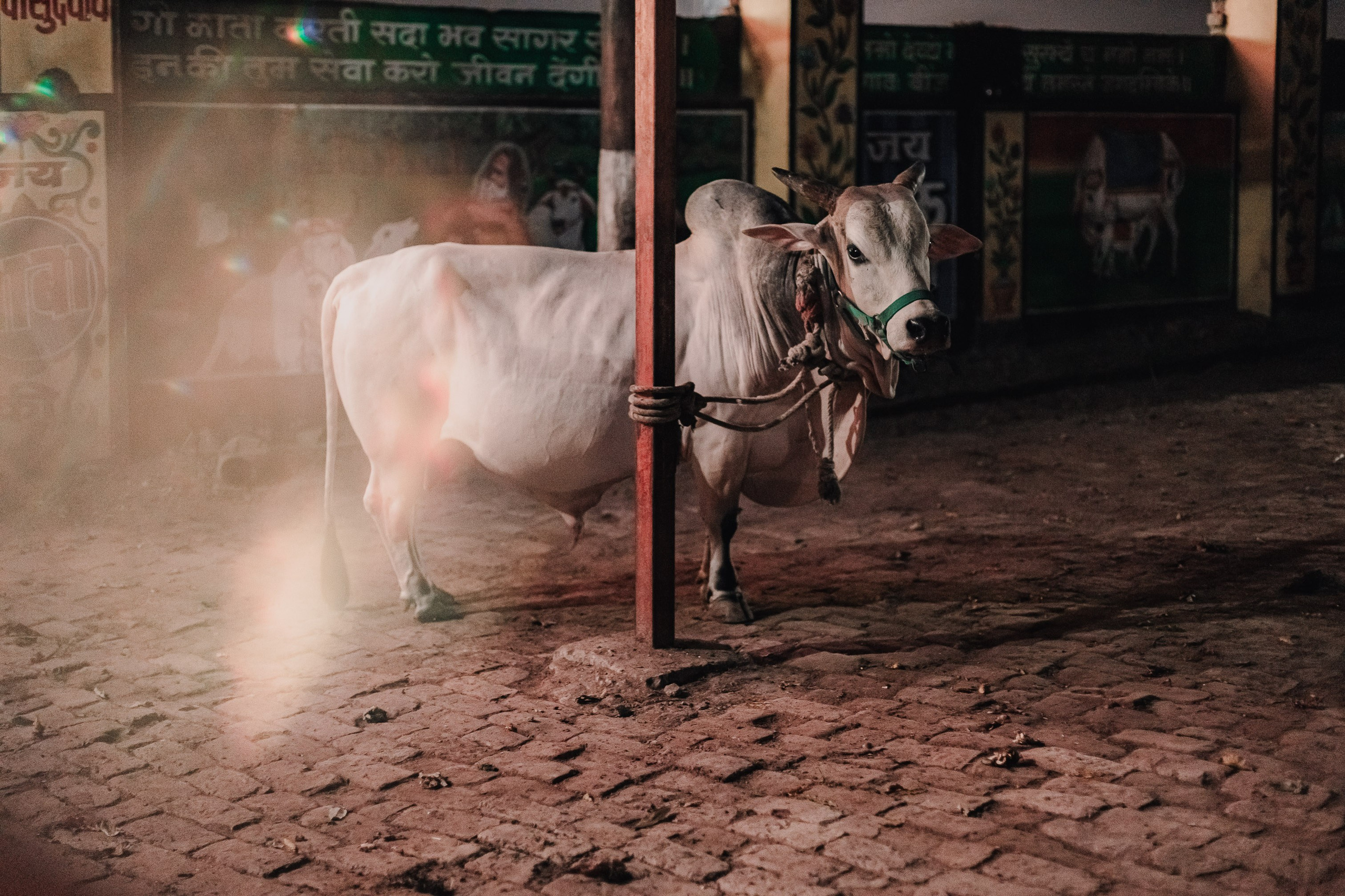 Devraha Baba Ji Ashram in Vrindavan. Мариам Багдасарян