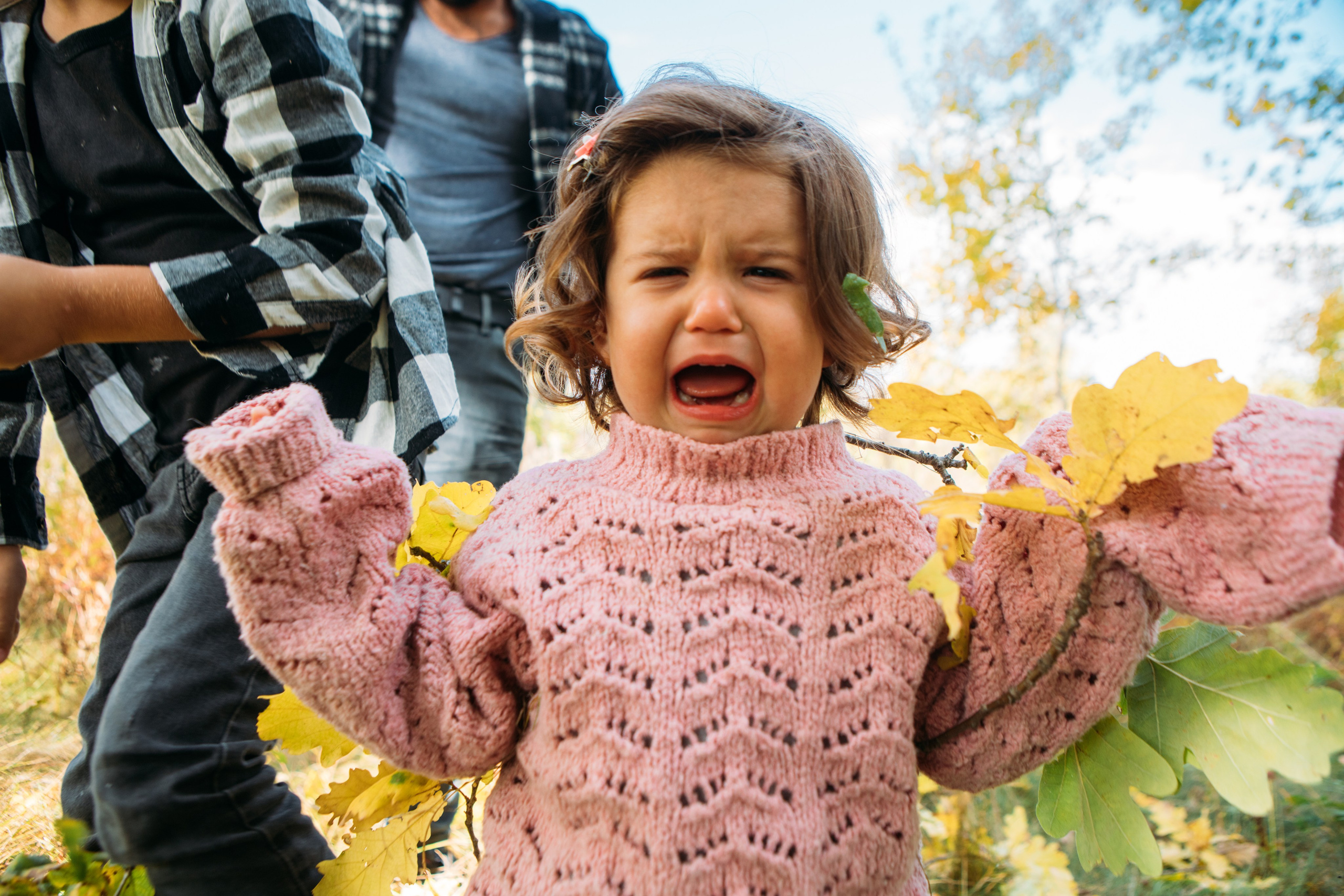 Свадебный альбом. Фотограф в Москве Павлова Ксения