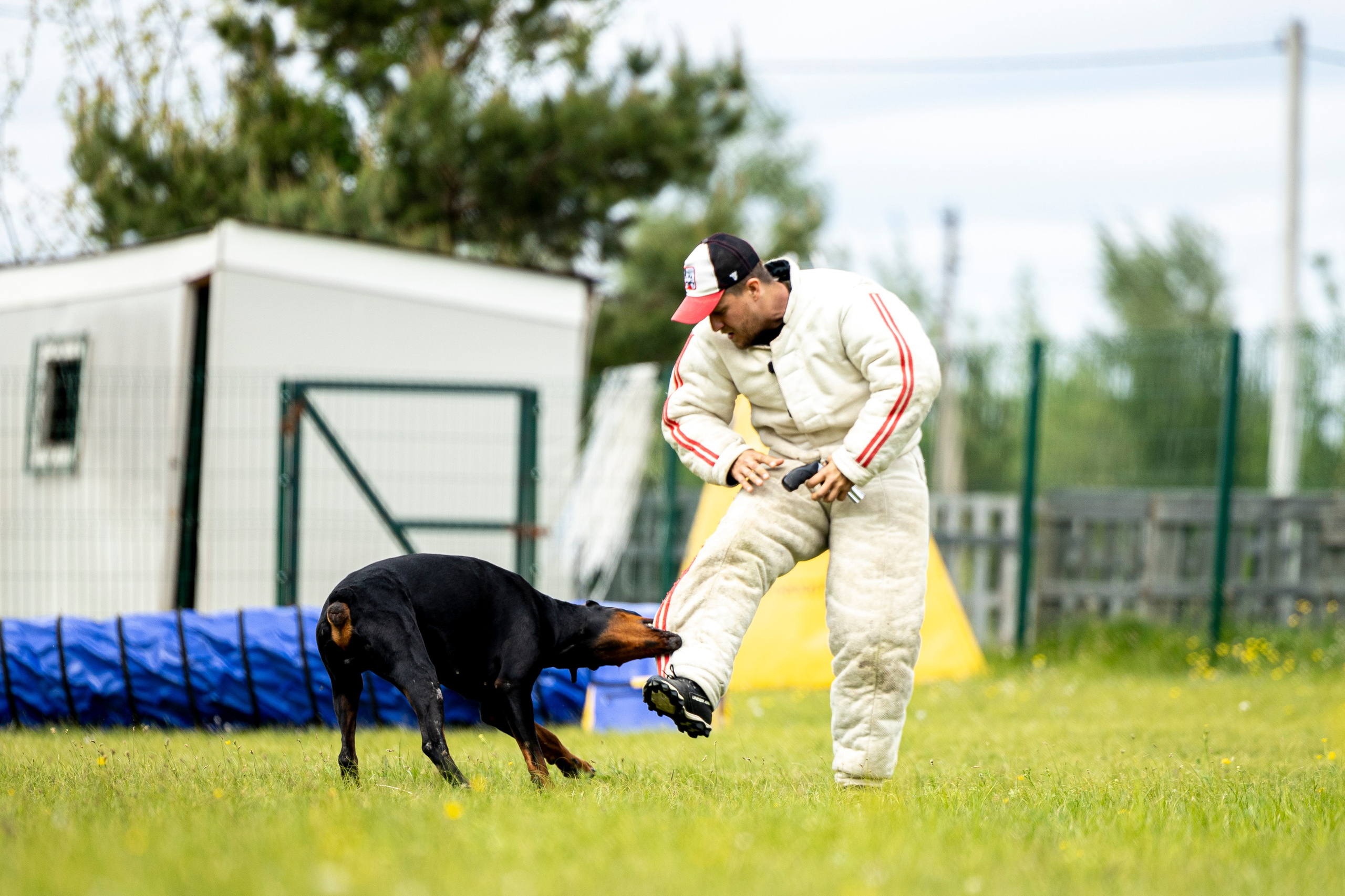Испытания по мондьорингу в Нижнем Новгороде. Фотограф-анималист Анна Маринич