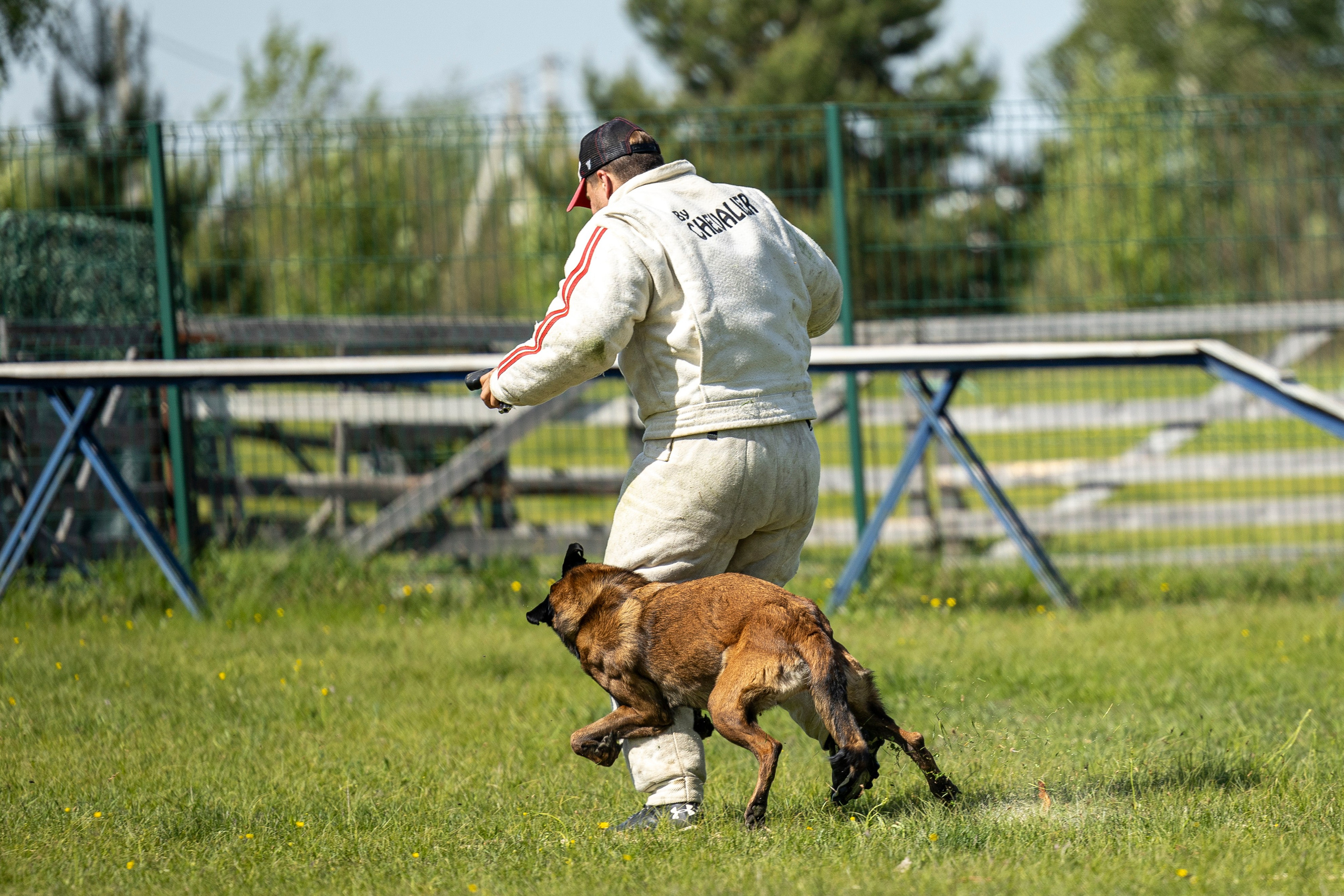 Испытания по мондьорингу в Нижнем Новгороде. Фотограф-анималист Анна Маринич