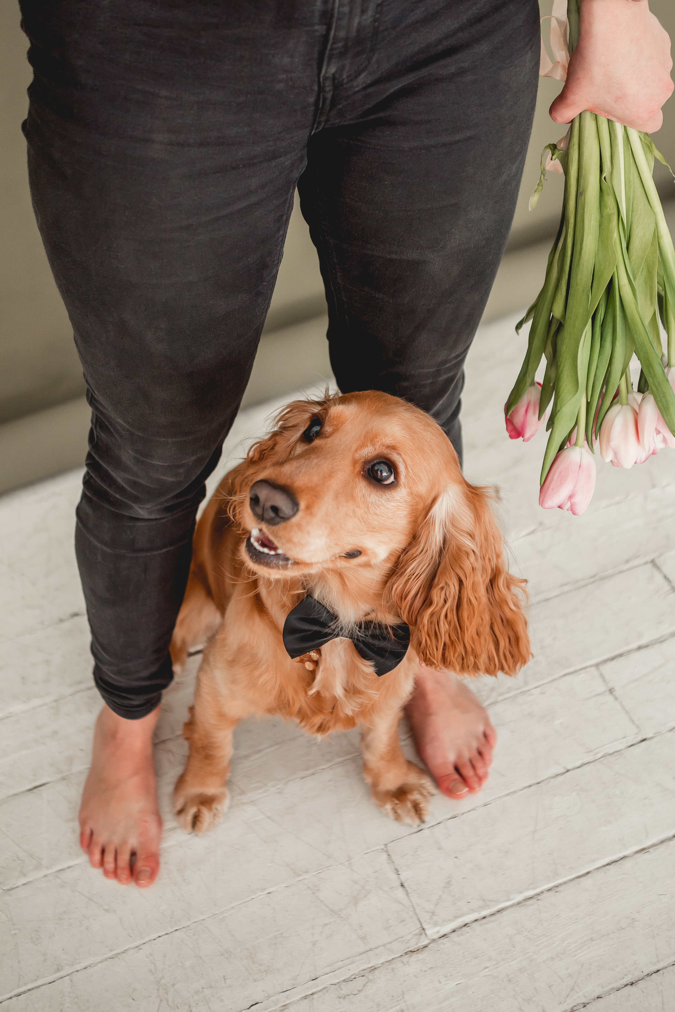 Лада и Барни. Семейный фотограф анималист Мария Крючкова