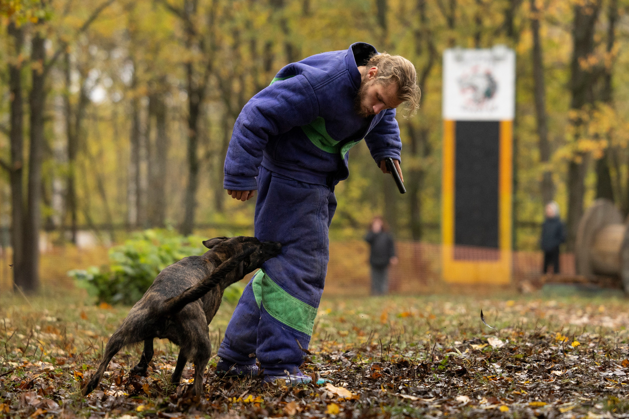 Соревнования по Мондьорингу г. Вологда. Фотограф-анималист Анна Маринич