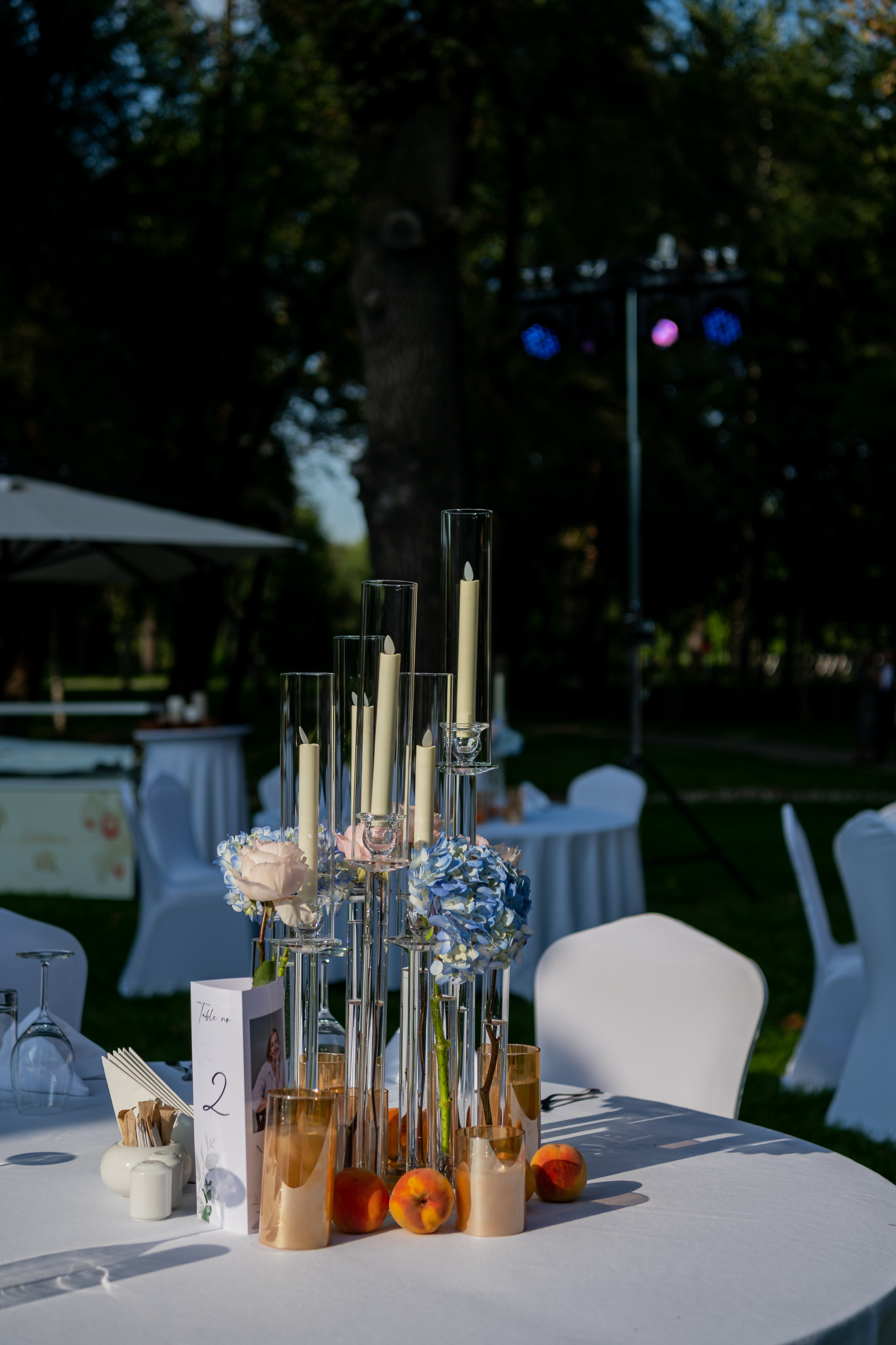 DR NADEZHDA. Фотограф Астана, Алматы