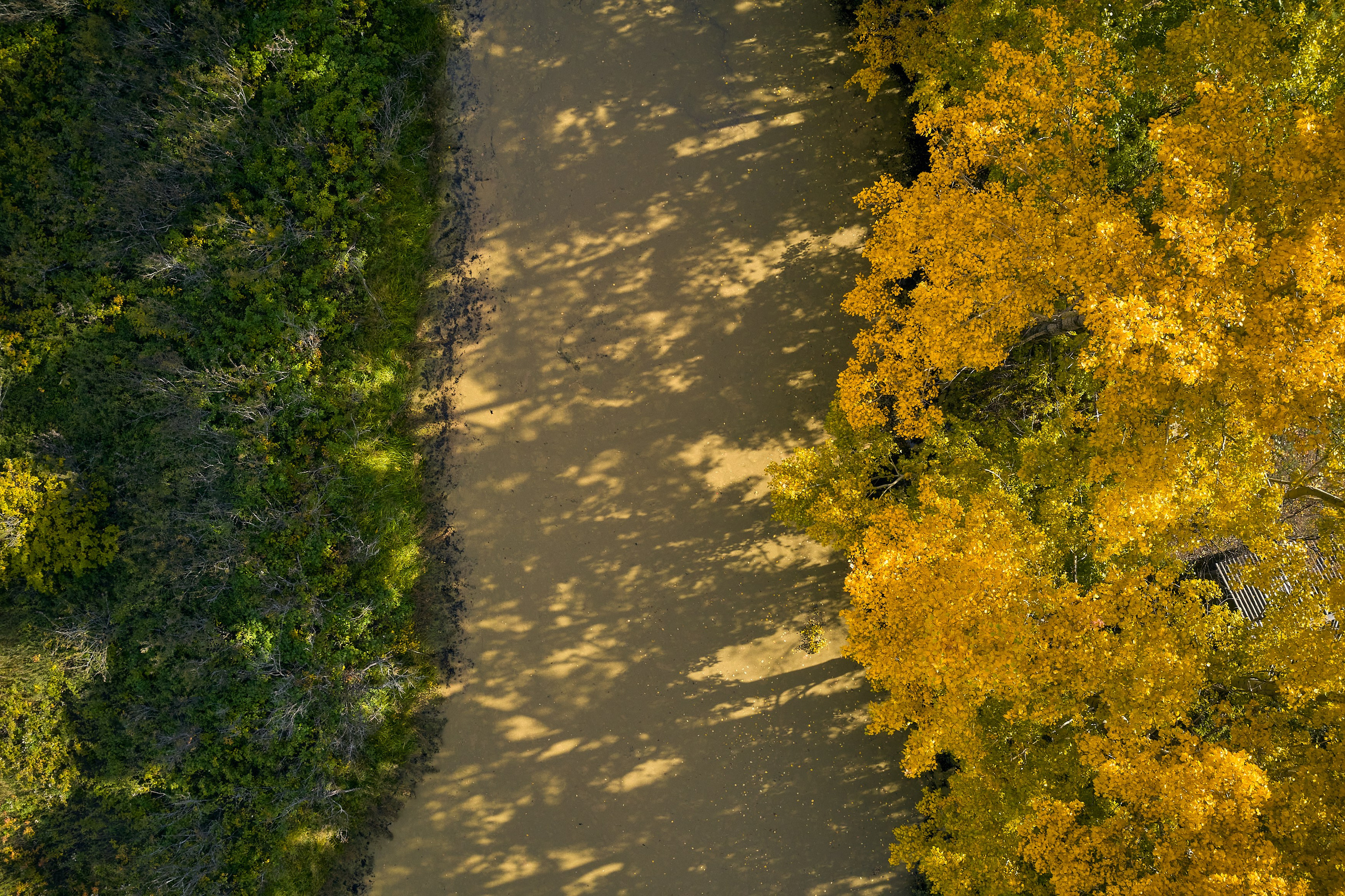 Съемка в полете. DMITRY MOISEENKO — фотограф, художник, топ-стилист