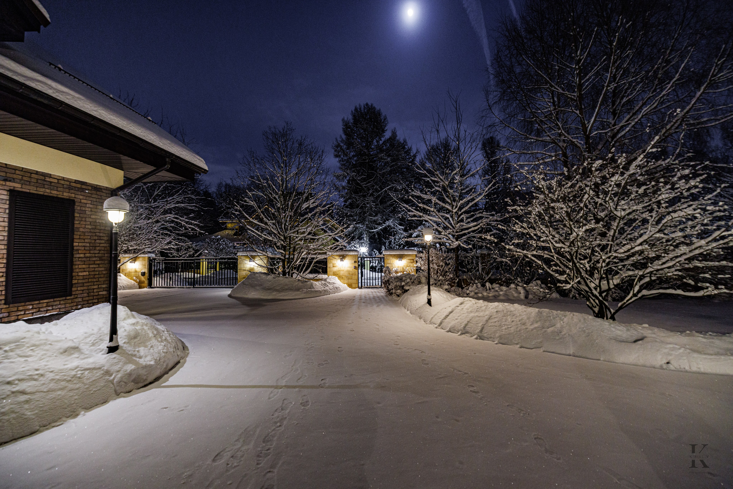 Природа 31 Декабря 2025 года. Клены. Фотографирую жизнь! Московский фотограф волонтер