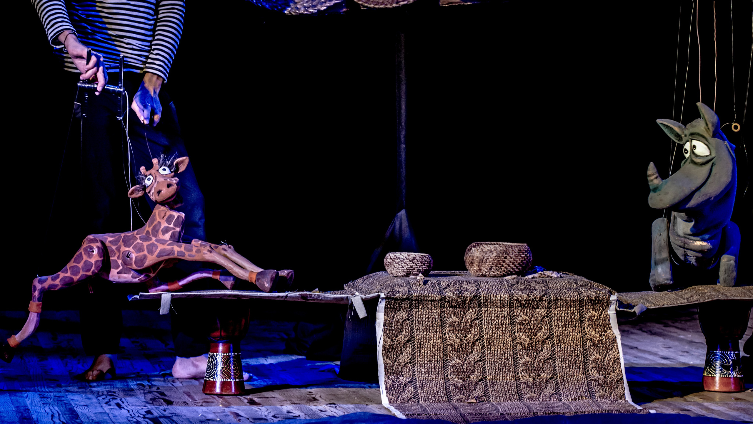 Жирафа и носорог спектакль театра Саквояж. Фотограф в Сочи Юрий Шептаев