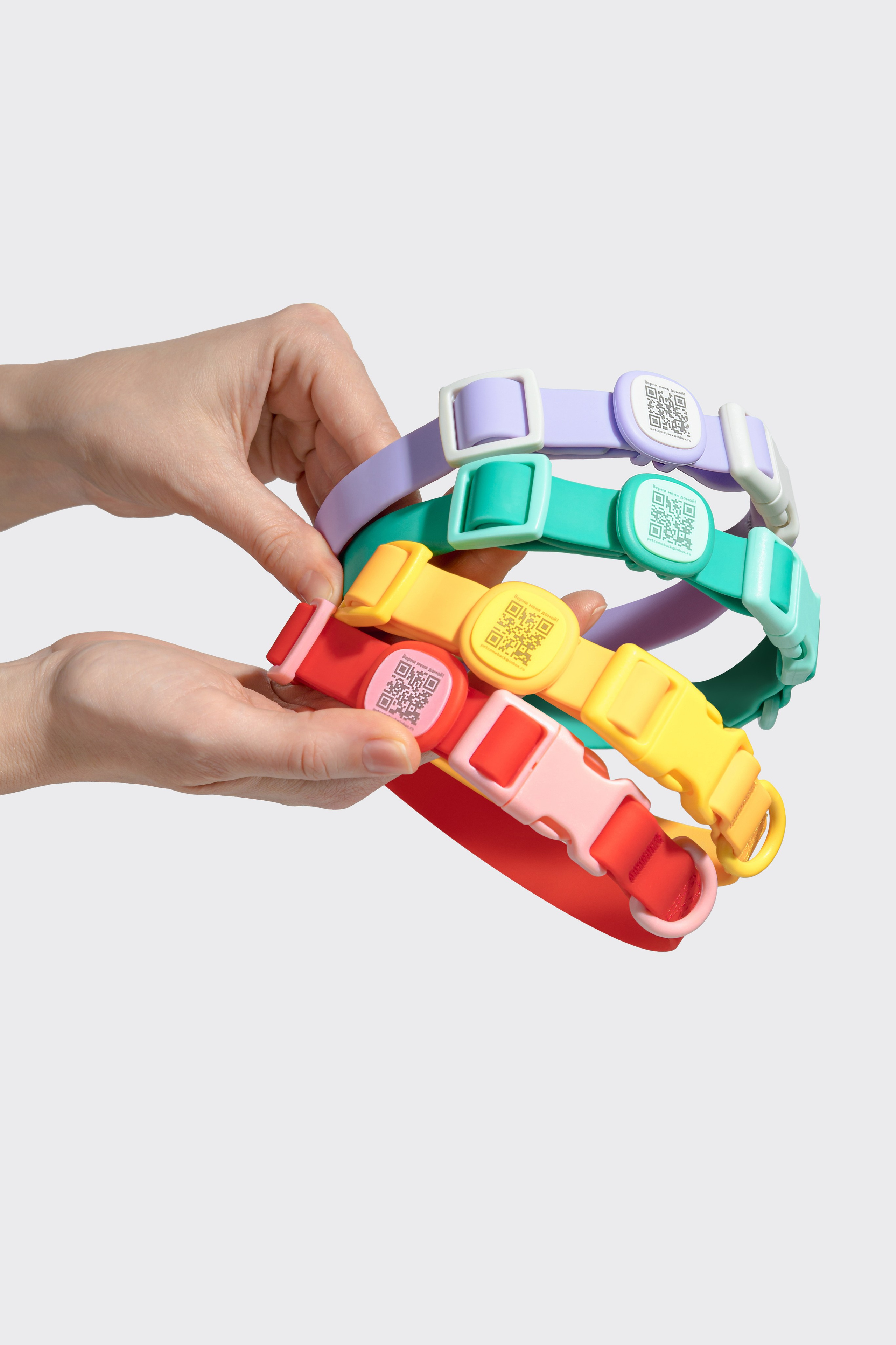 In good company для собак. Фотограф в Москве Татьяна Драгунова