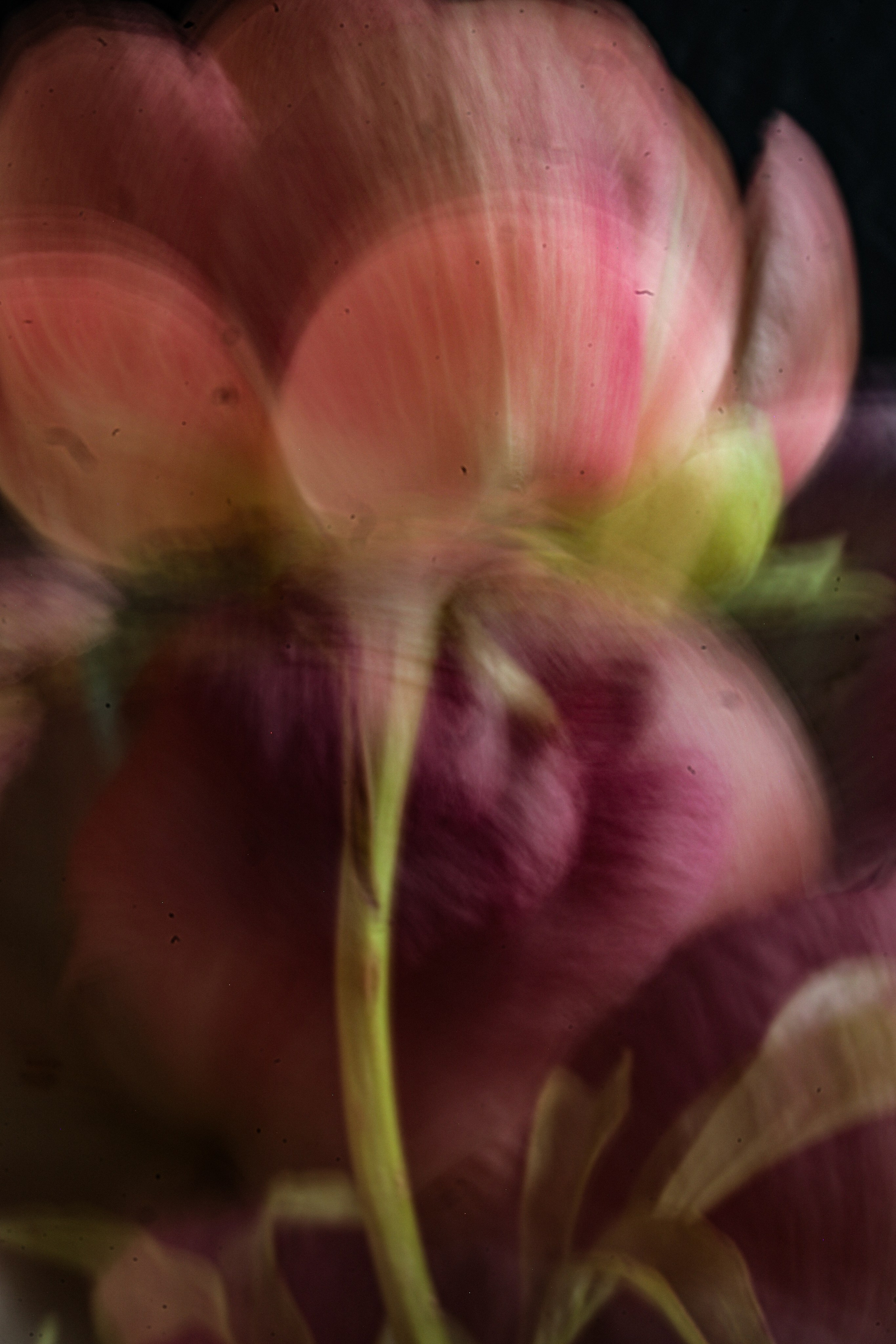 Природа &. Фотохудожник в СПб