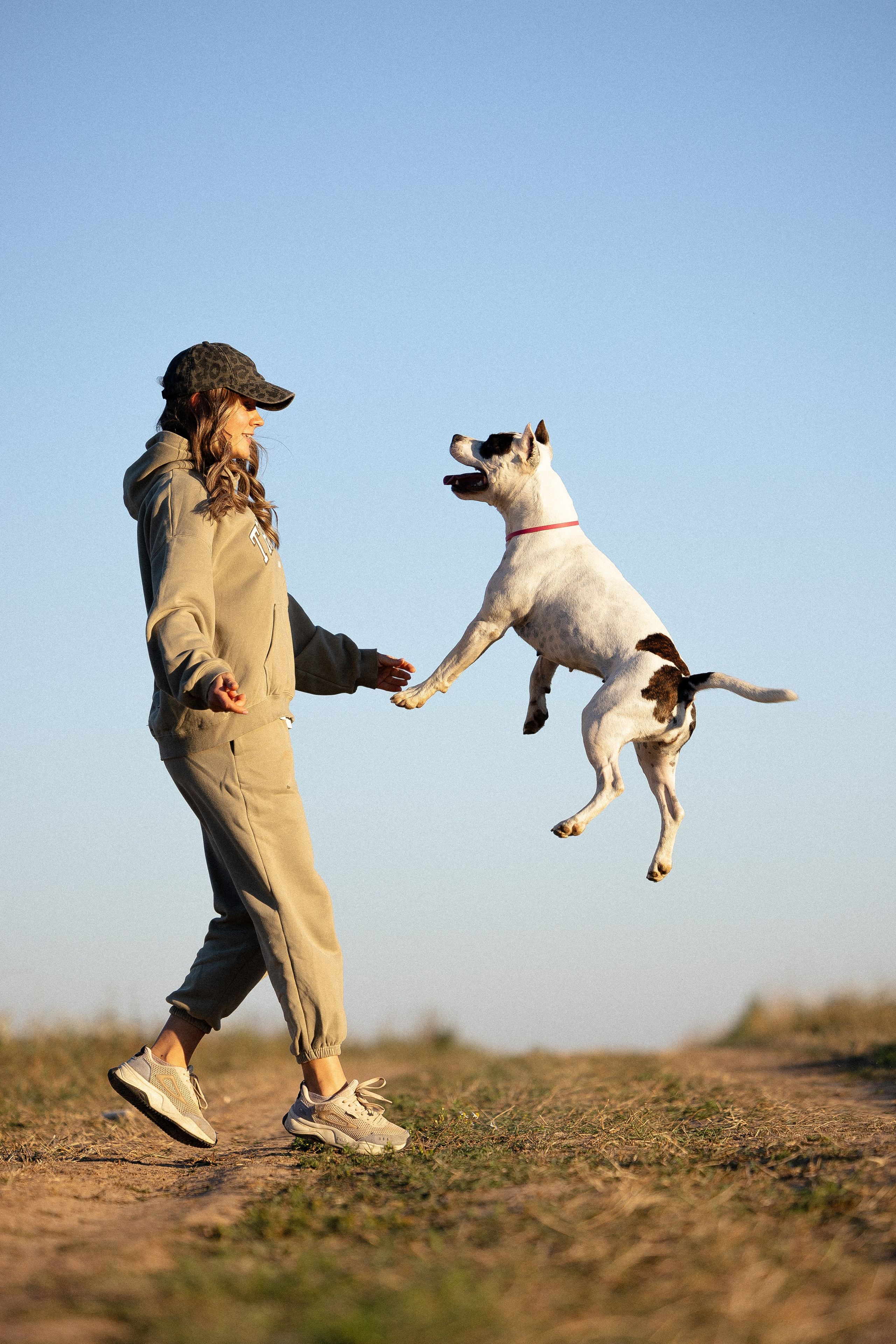 Женя, Афра и Молли. Фотограф и видеограф анималист Аганина Дарья