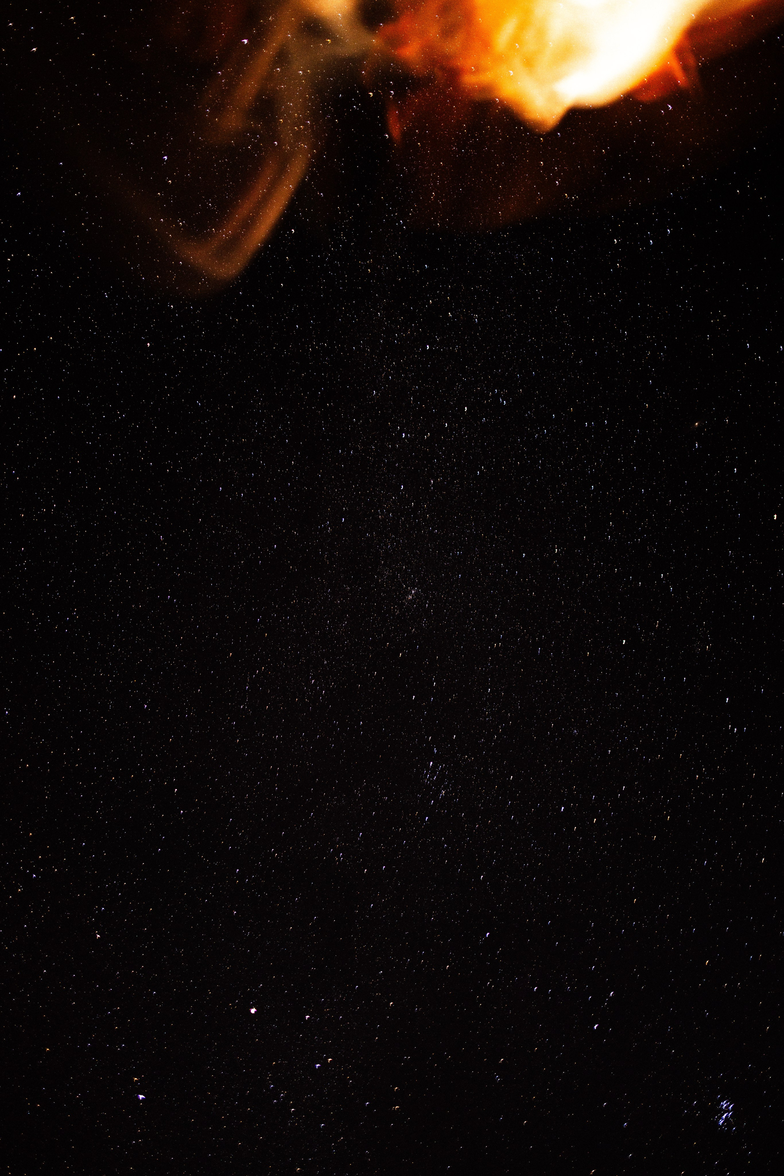 Karelia. Фотограф и видеограф анималист Аганина Дарья