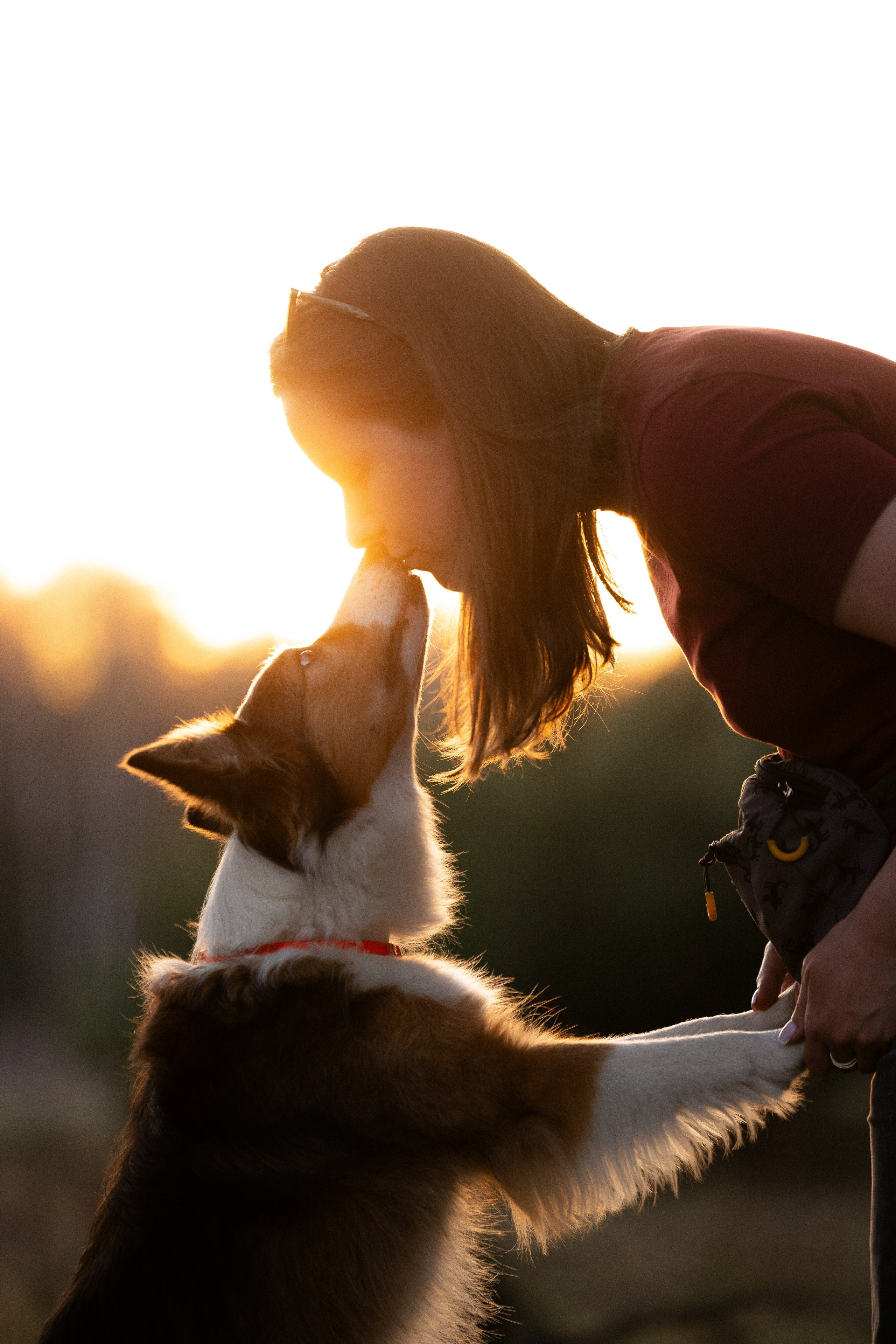 Разношерстная компания. Фотограф и видеограф анималист Аганина Дарья