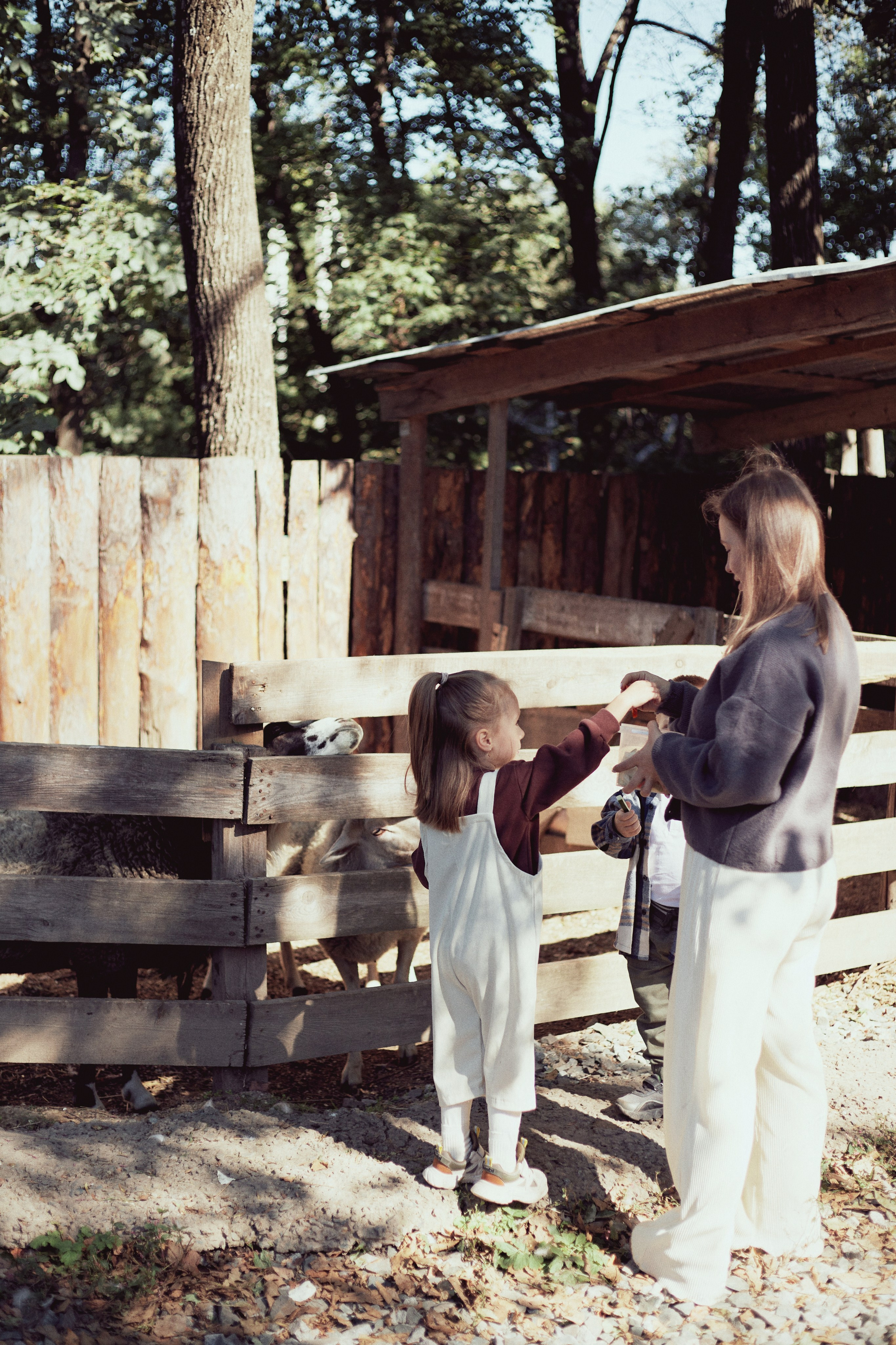 Зоопарк. Фотограф Ионова Анастасия, г Владивосток