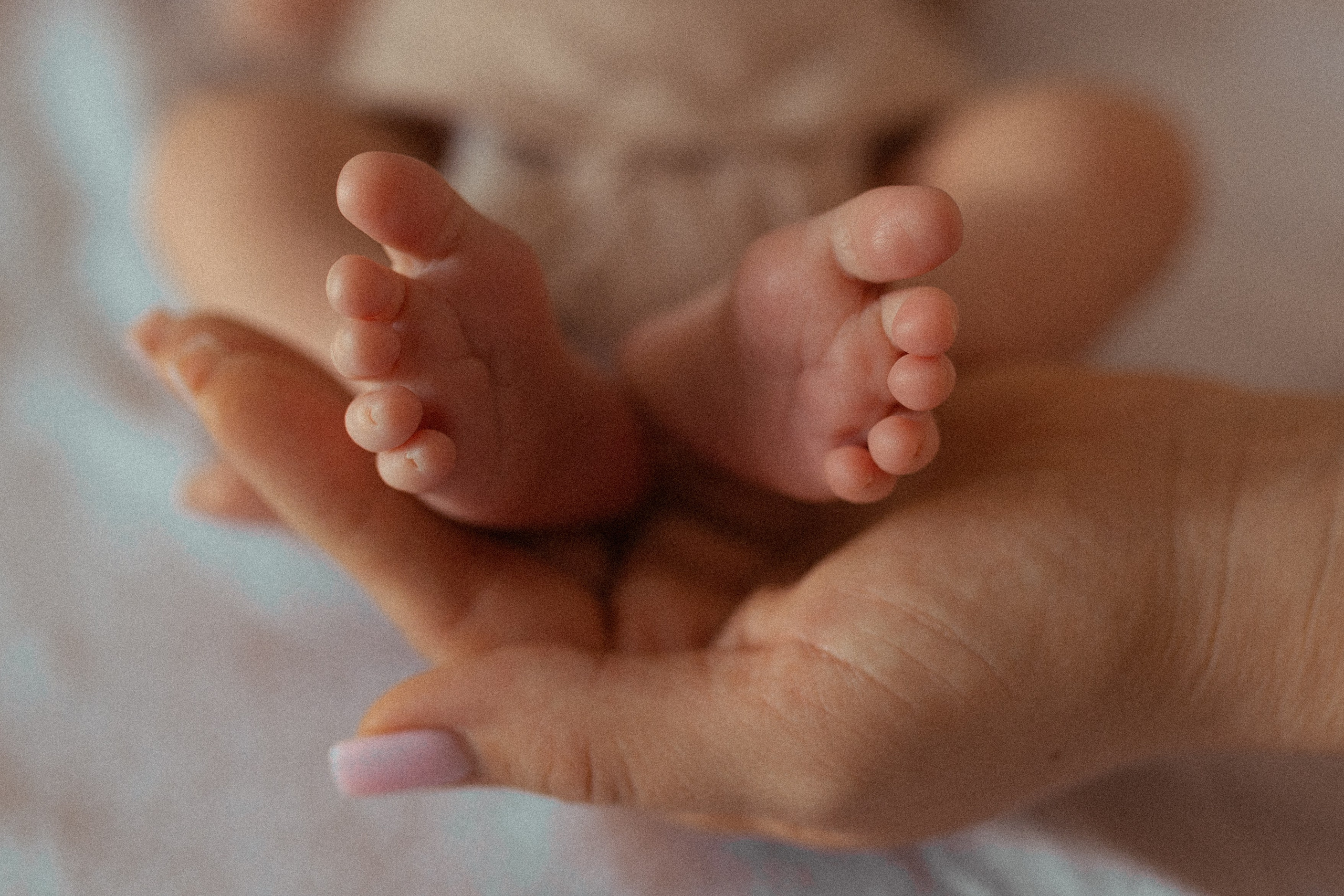 Дом. Свадебный фотограф Курзина Ольга | Москва