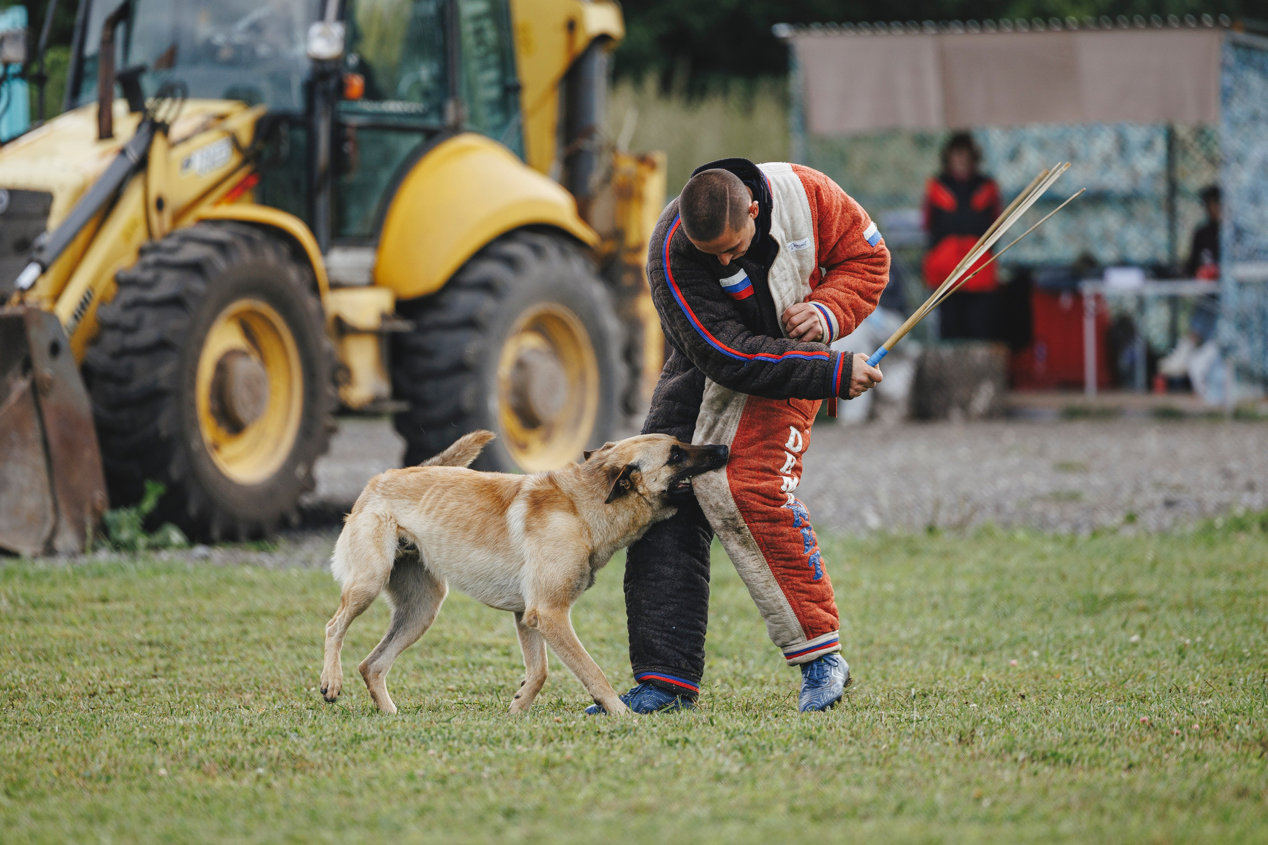 08.08.25-10.08.25 ЧР по мондьорингу г. Вологда. Фотограф-анималист Анна Маринич