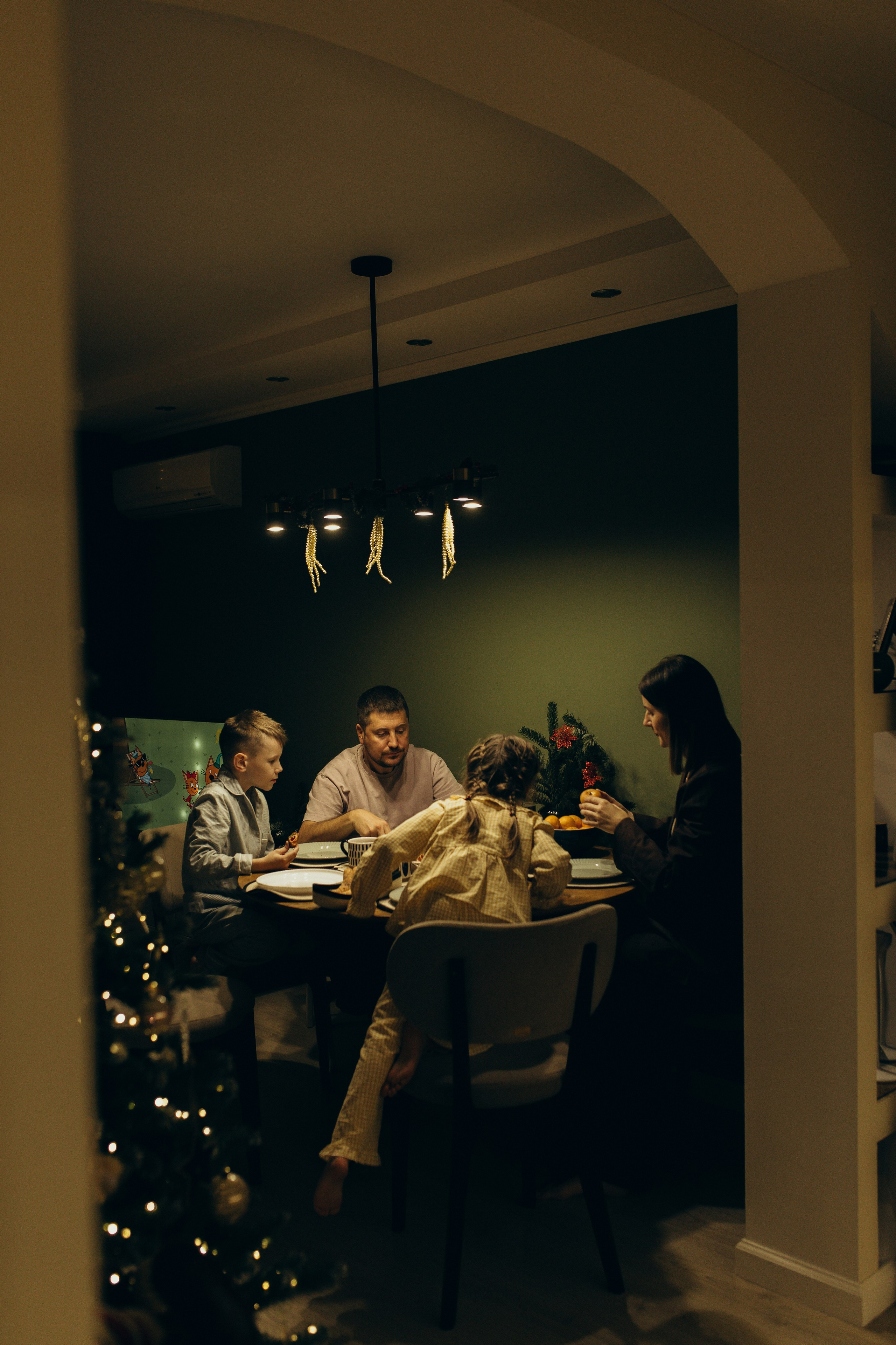 Домашняя история. Meryfotoidea