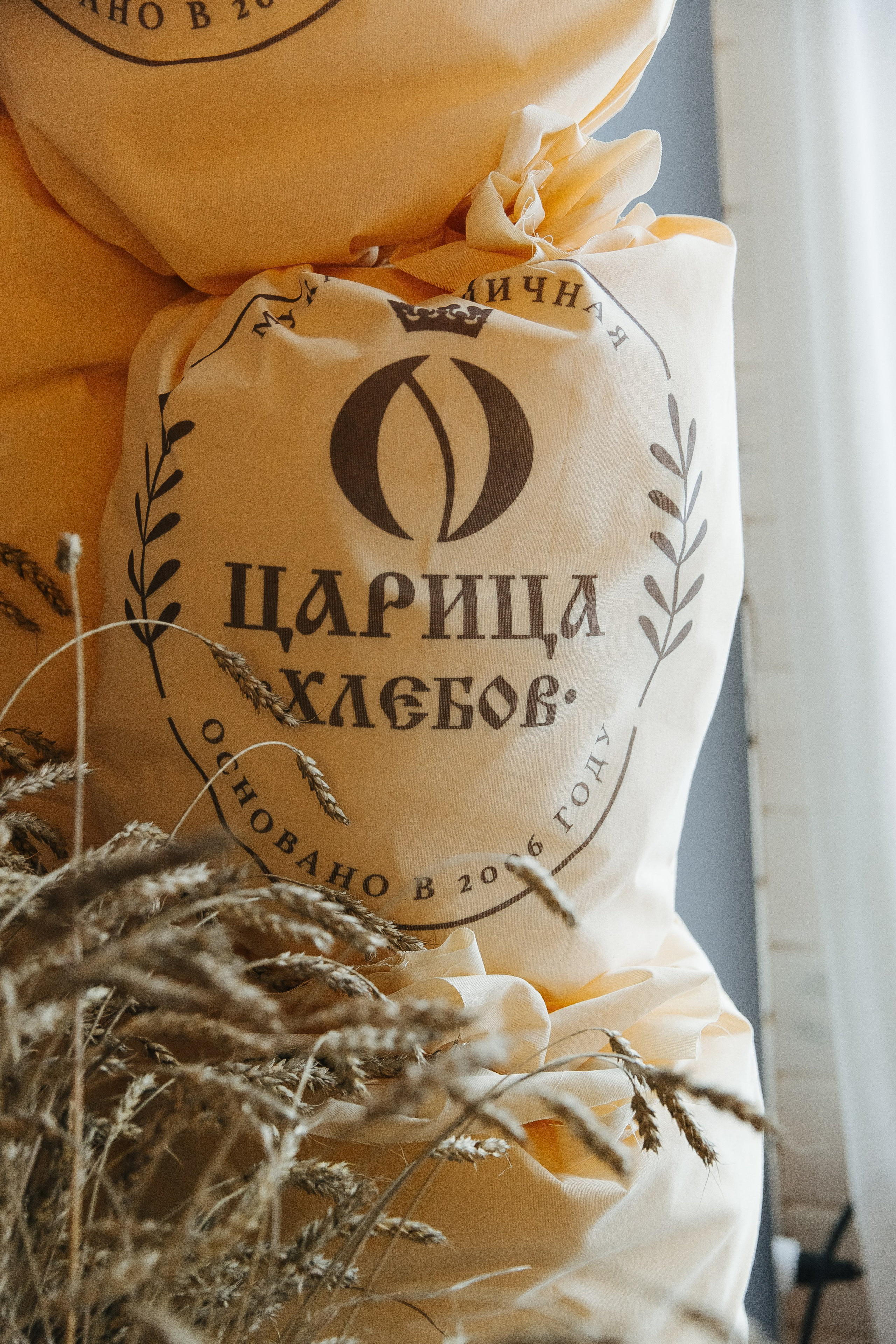 Сосны. Фотограф в Красноярске Любовь Малеева