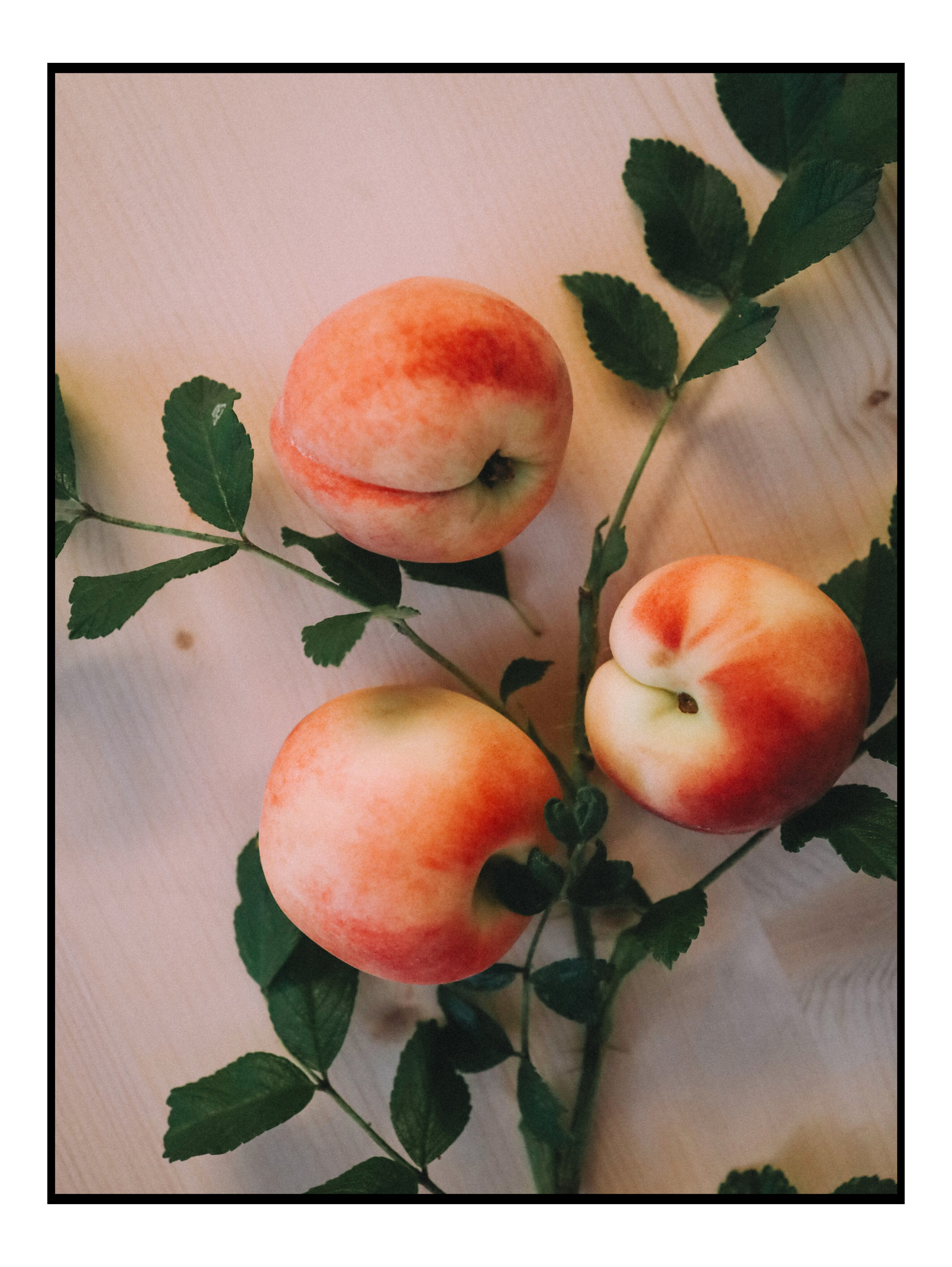 Природа &. Фотохудожник в СПб