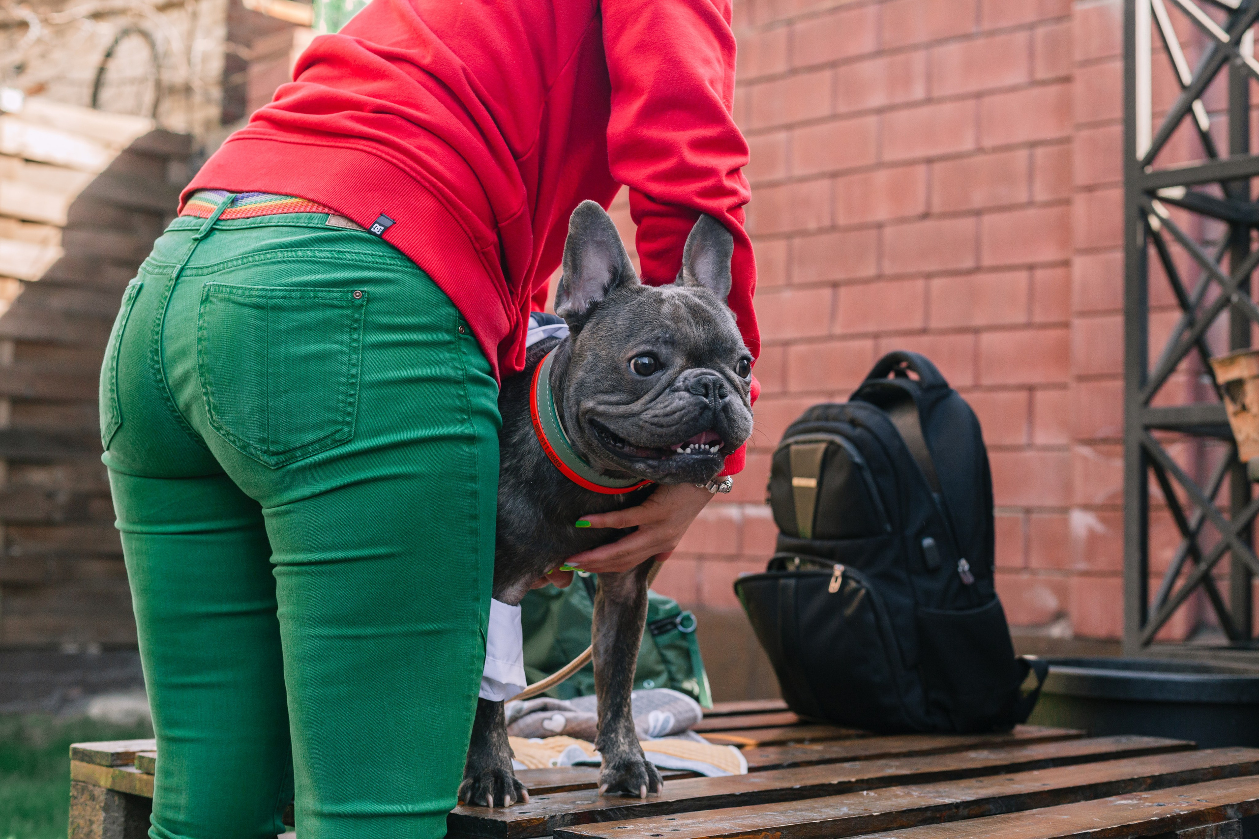Бульбалл 23.04.2023. Фотограф-анималист Татьяна Степанова