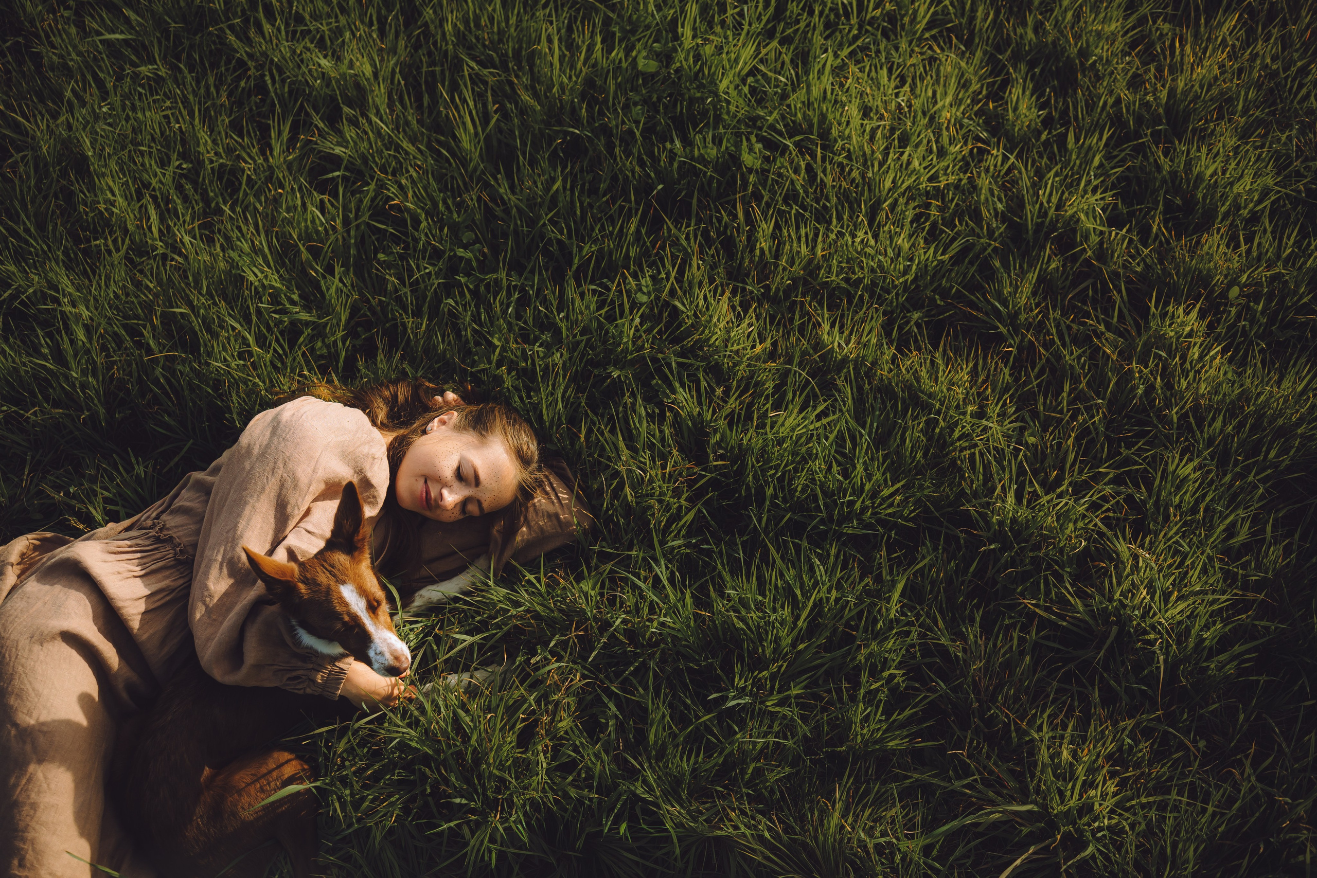 Выездной дог-тренинг от школы «Шерсть имею», Тованово