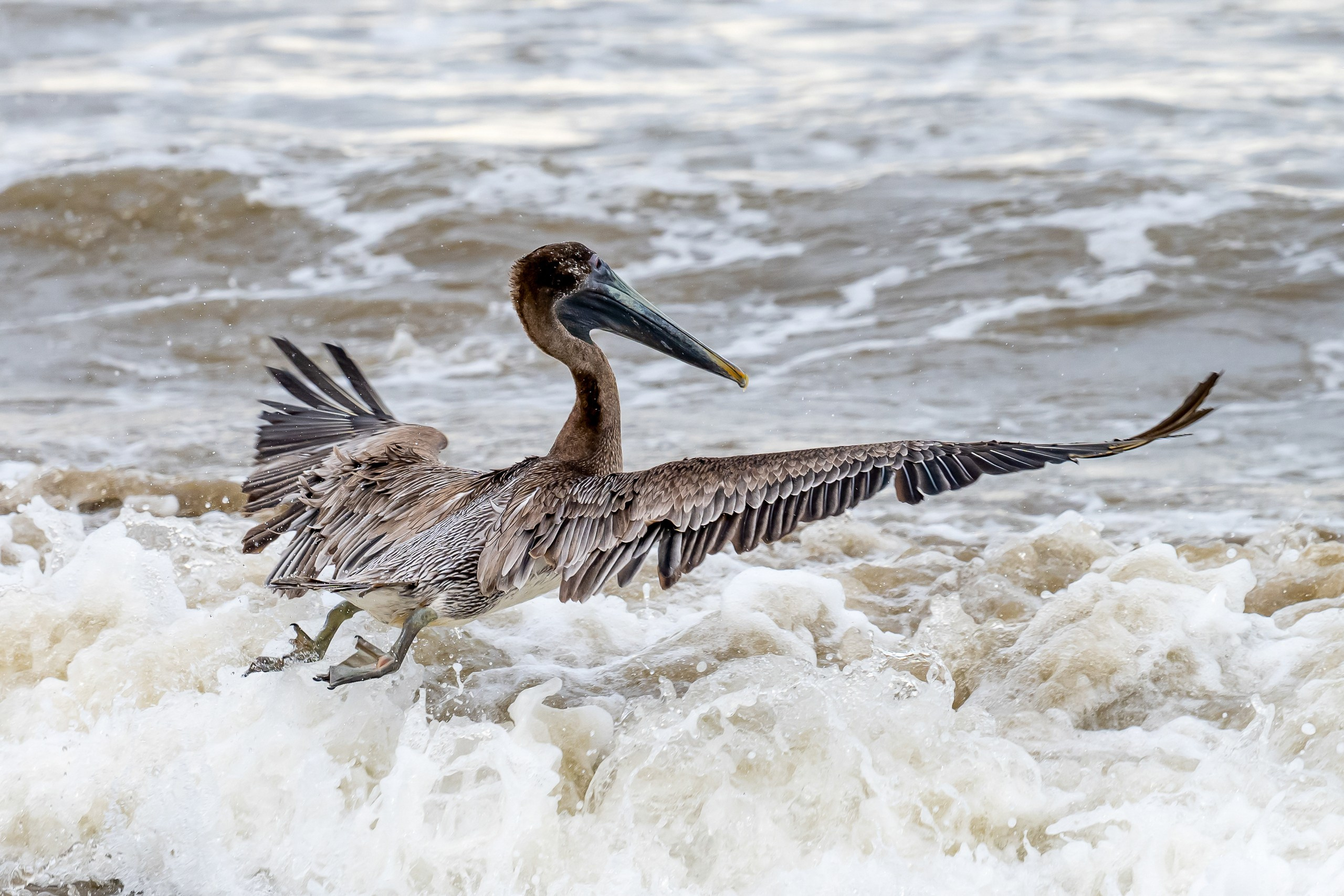 Пейзажный фотограф, Фотографии дикой природы. Foto-Zuev фотография как искусство