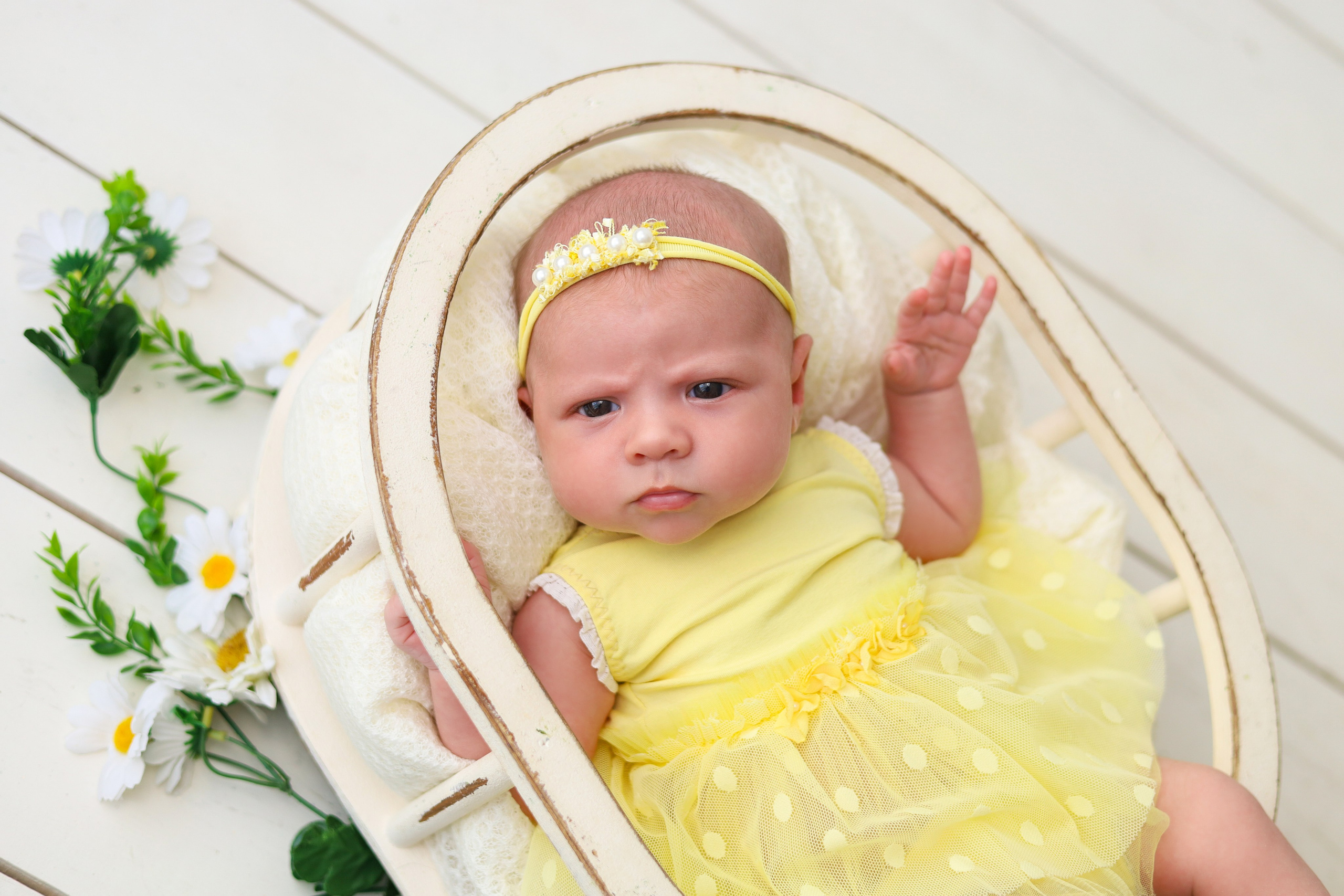 Новорожденные. Фотограф новорожденных Новосибирск