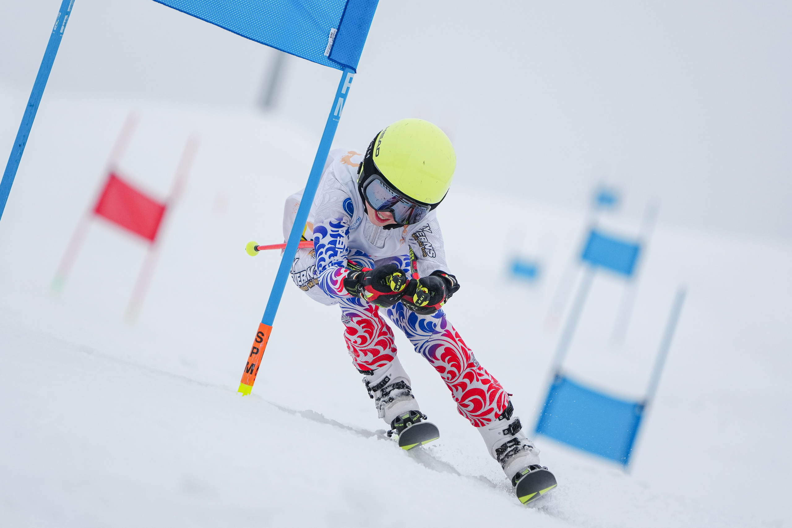 GS (Giant Slalom) - Слалом-гигант. Соревнования по горнолыжному спорту. Московская область, Шуколово