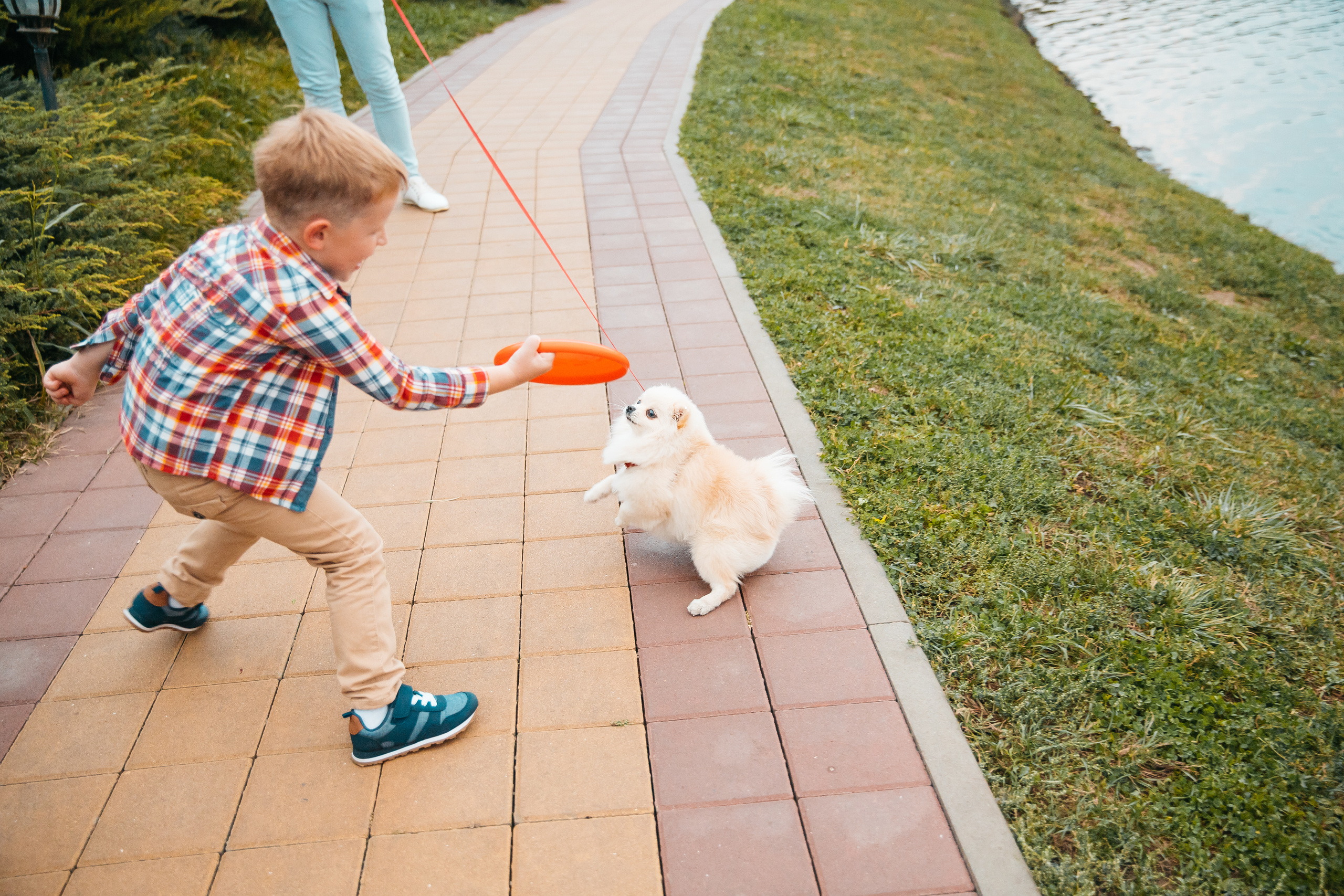 Пикник. Свадебный и семейный фотограф Харольцева Наталья