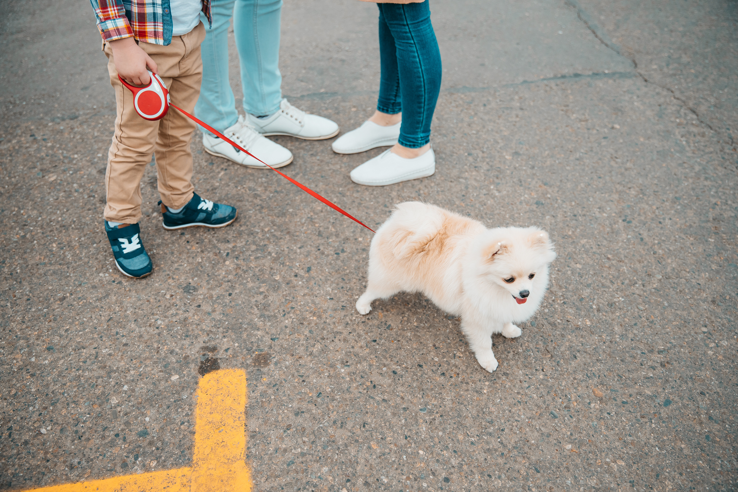 Пикник. Свадебный и семейный фотограф Харольцева Наталья