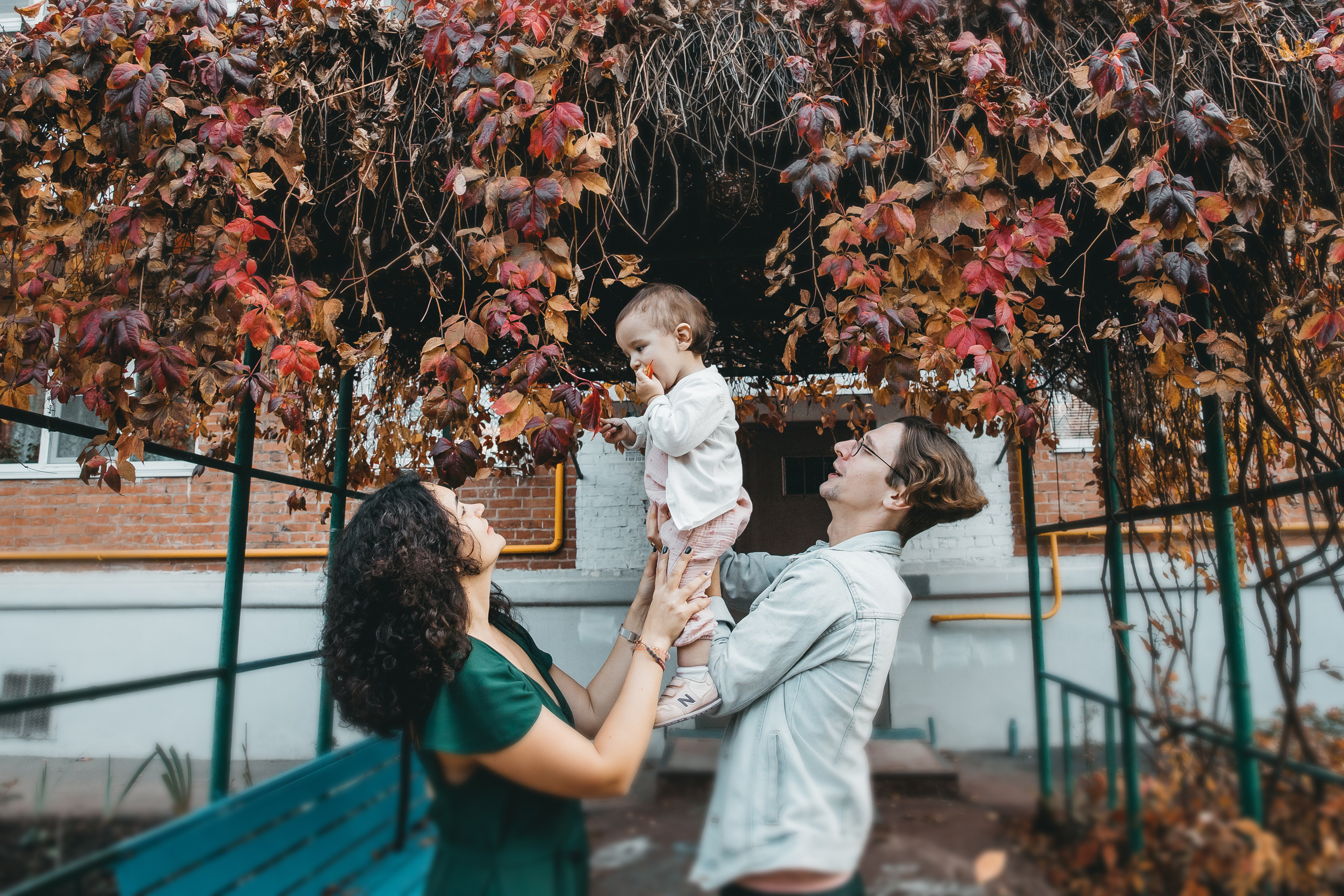 Листья. Осень. Свадебный и семейный фотограф Харольцева Наталья