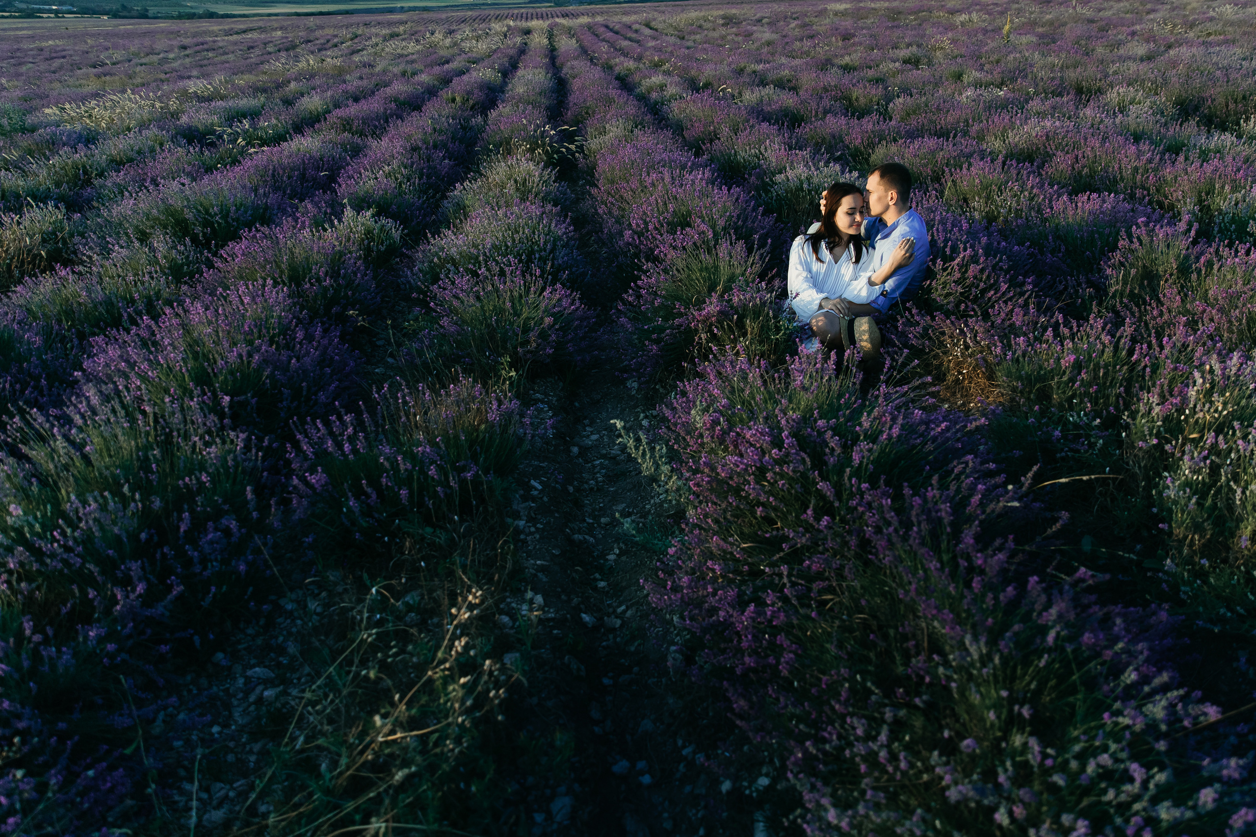 Лаванда. Свадебный и семейный фотограф Харольцева Наталья
