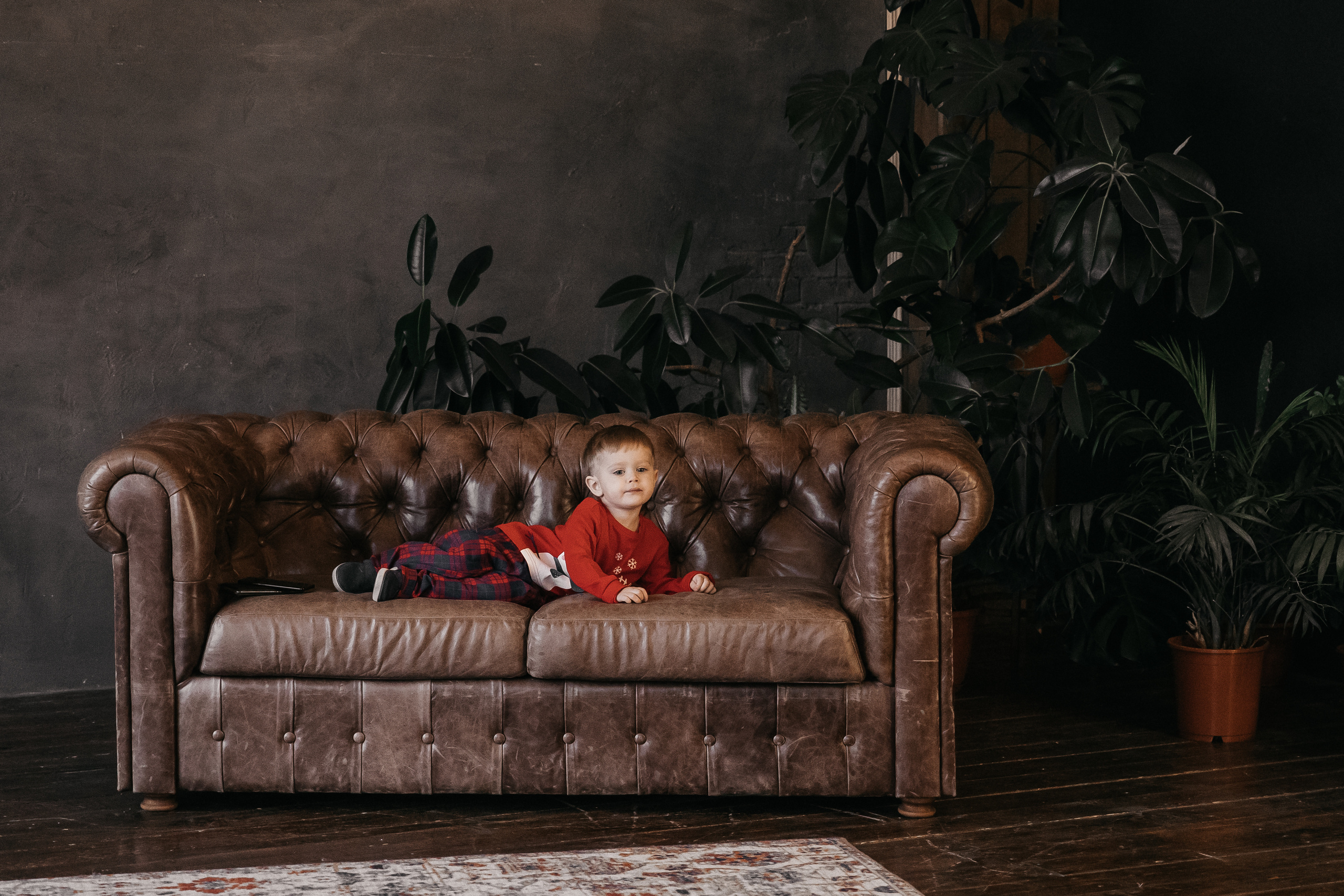 Новогодний переполох. Свадебный и семейный фотограф Харольцева Наталья