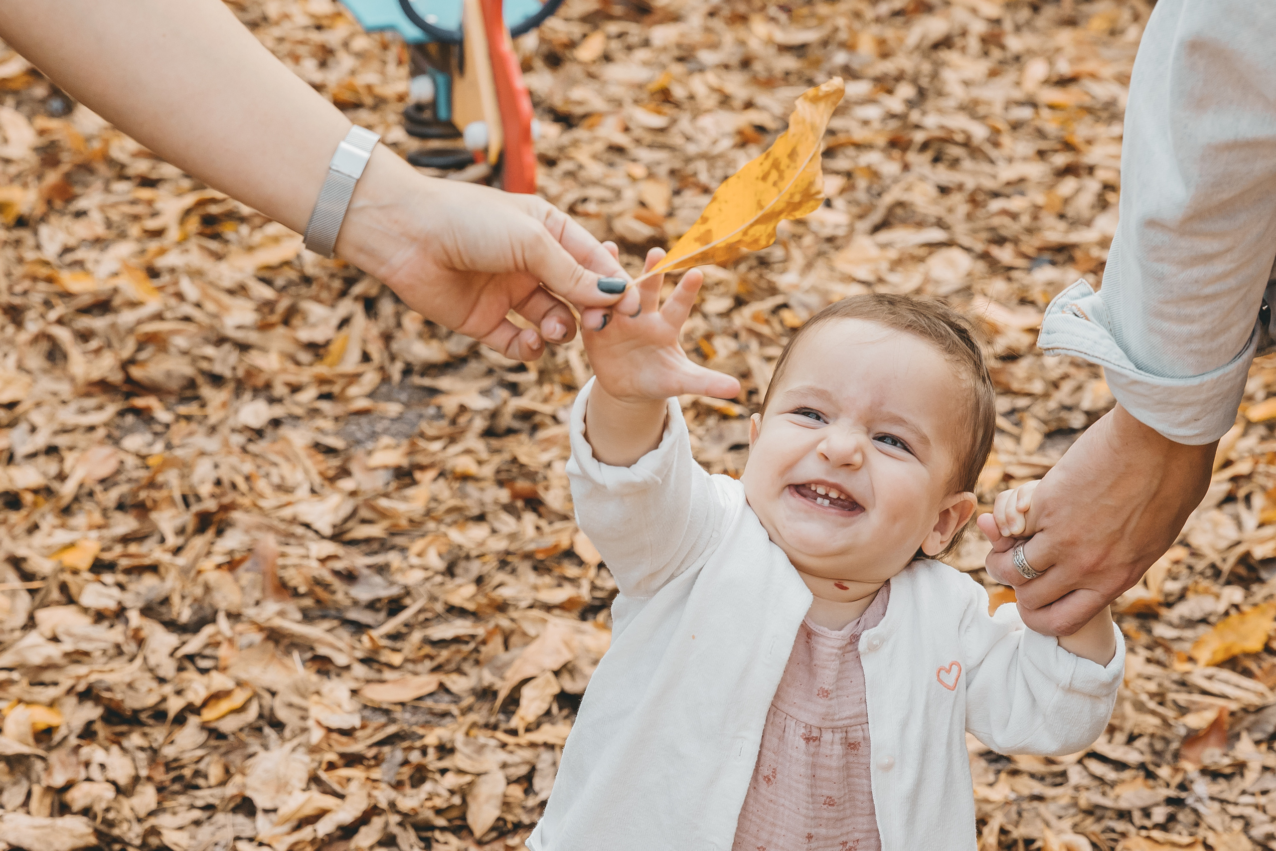 Листья. Осень. Свадебный и семейный фотограф Харольцева Наталья