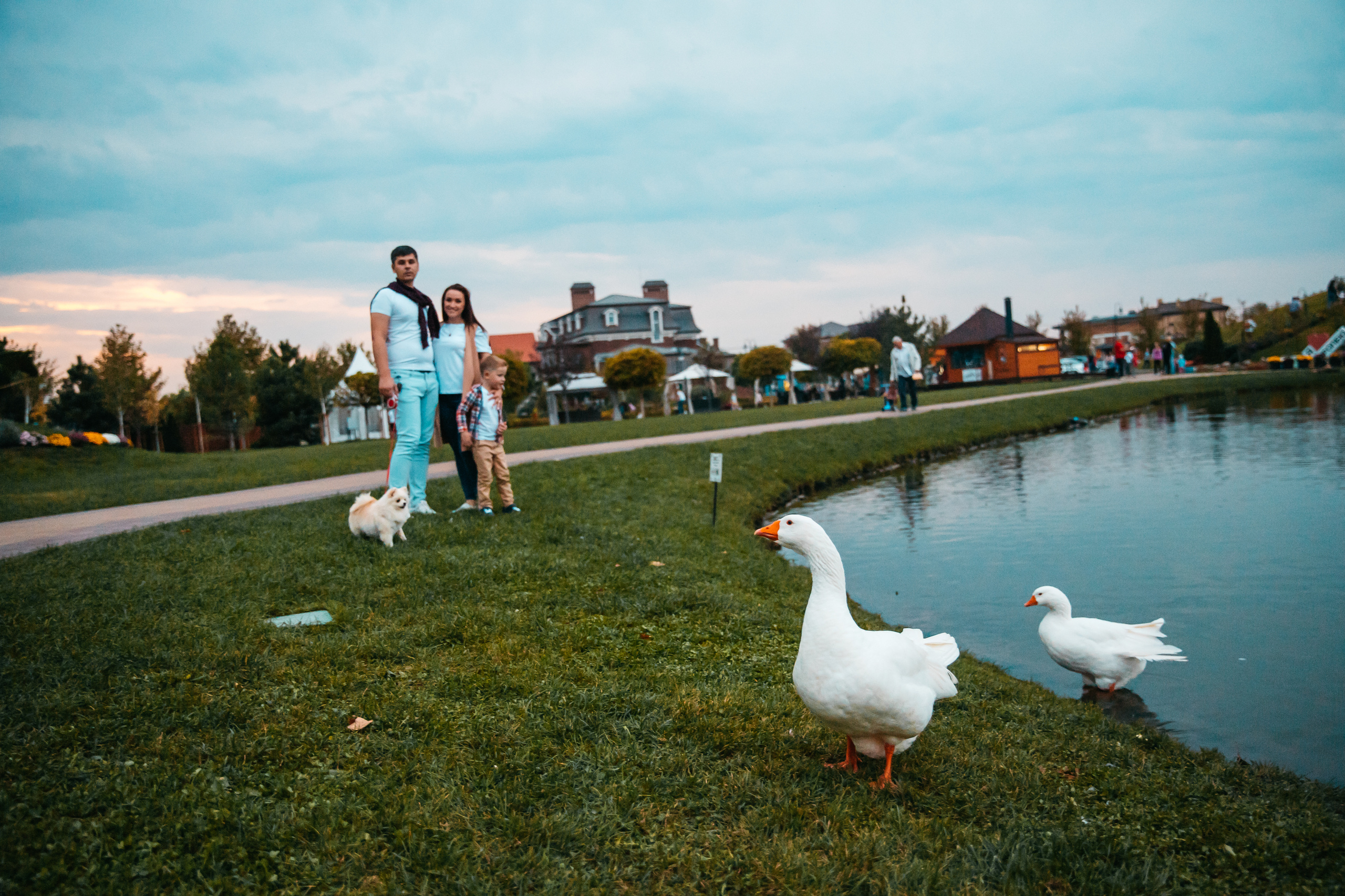 Пикник. Свадебный и семейный фотограф Харольцева Наталья
