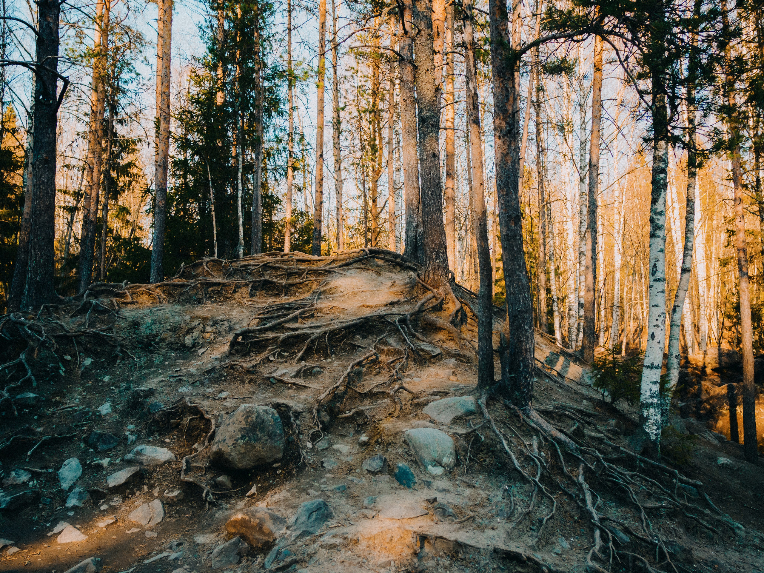 Карелия '23. Фёдор Малюгин. Ваш бади в визуале