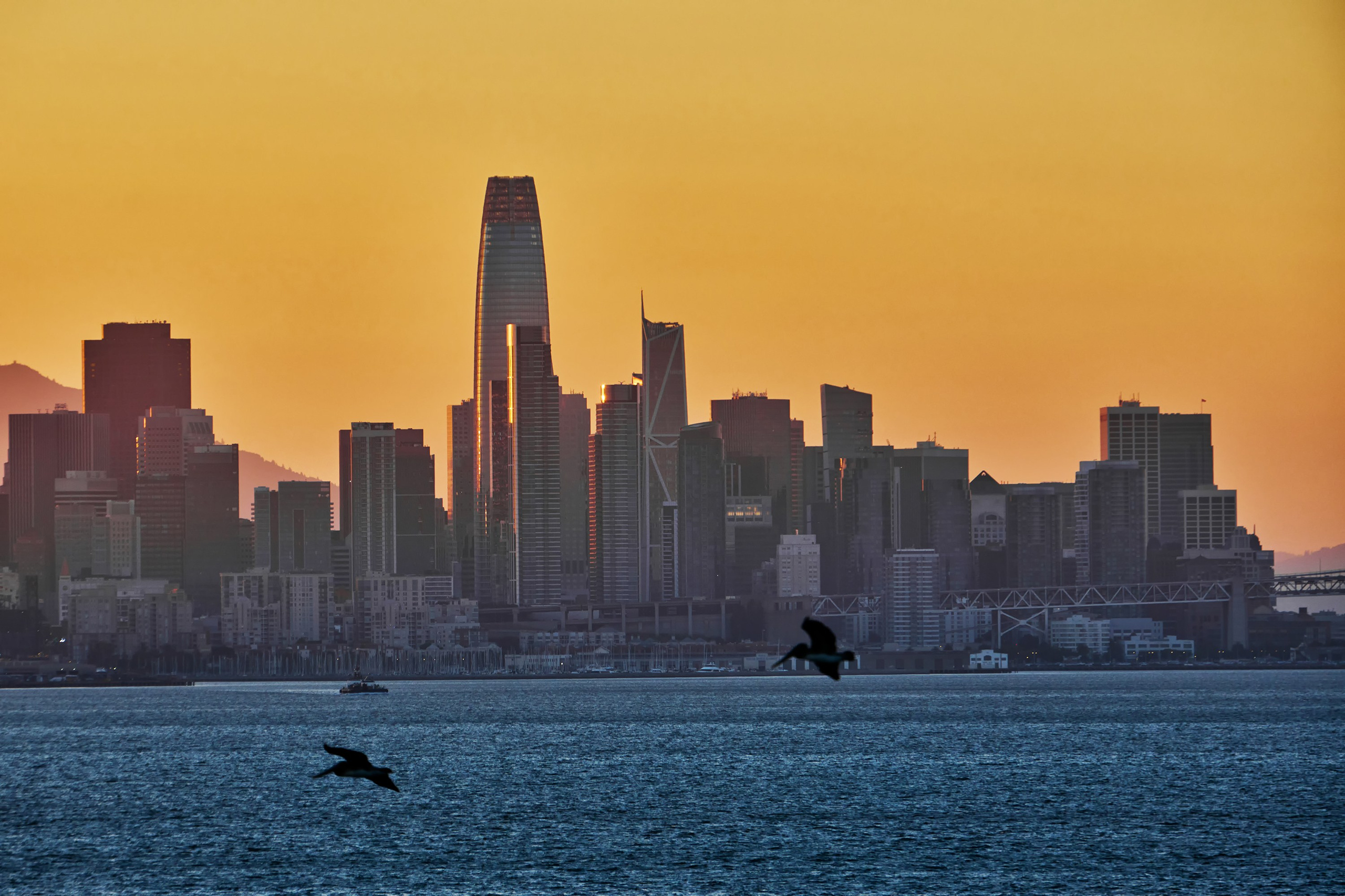 San Francisco (Сан-Франциско) — виды с бухты. Яркие фото на Чёрном море