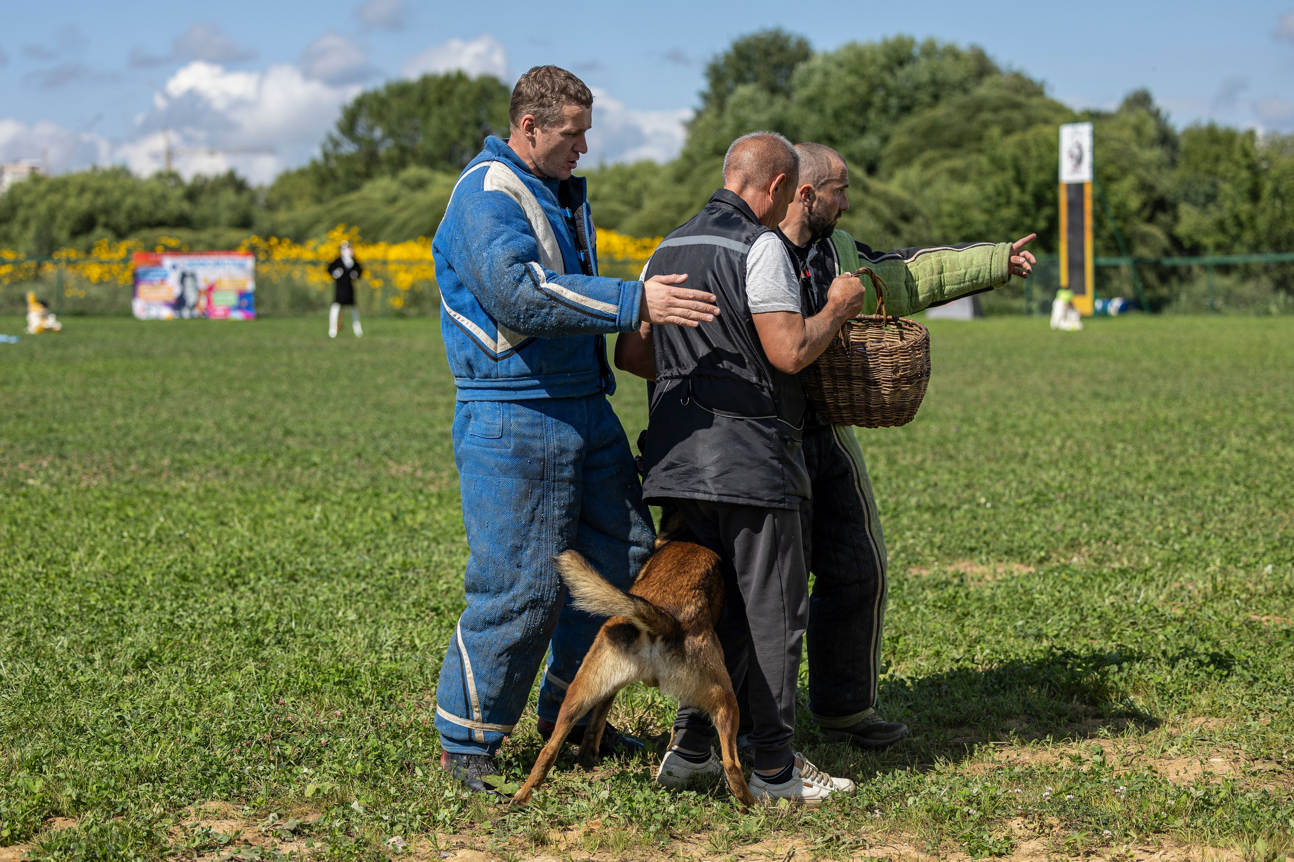 Соревнования по Мондьорингу г. Вологда 10-11.08.2024. Фотограф-анималист Анна Маринич