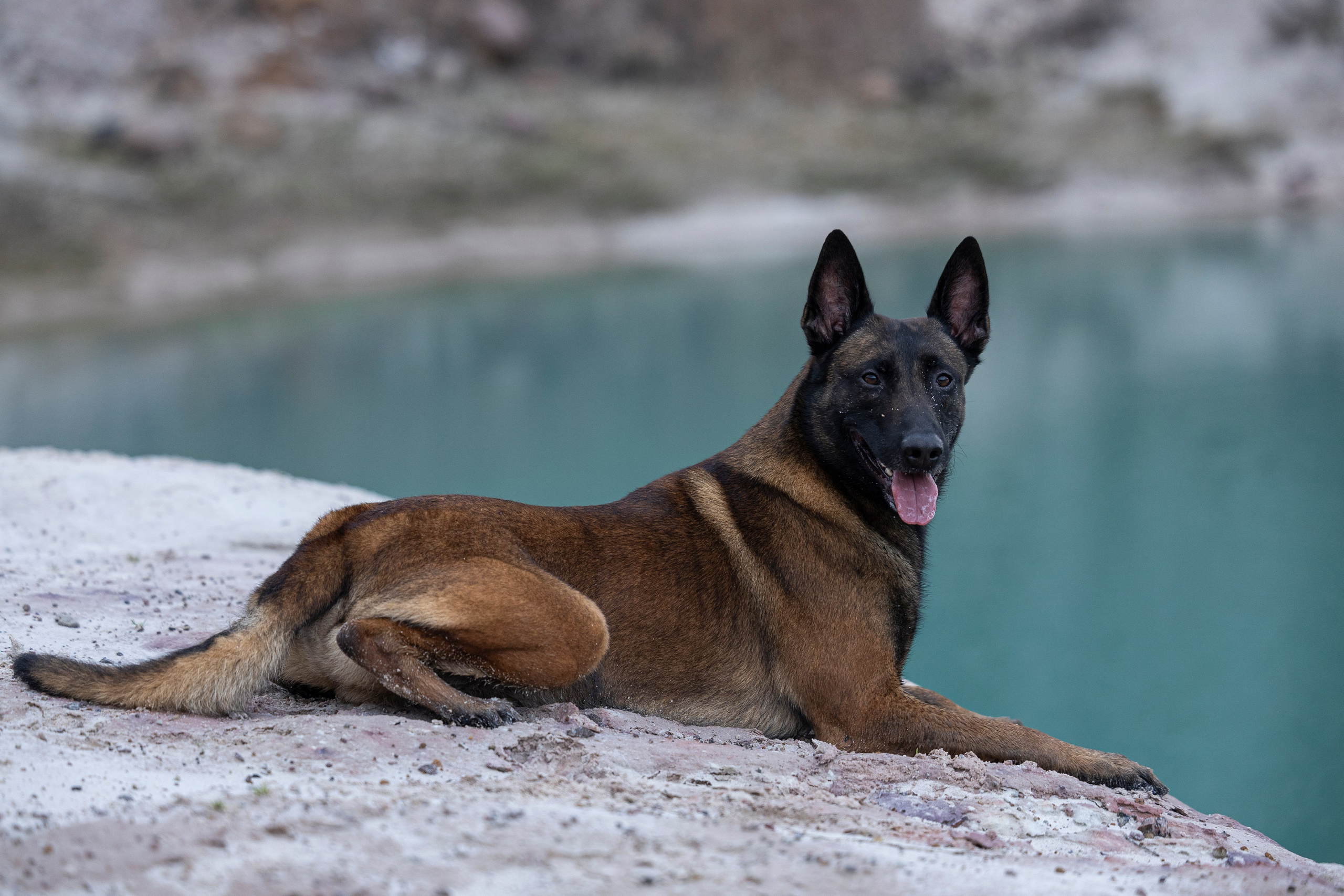 Лужские Мальдивы. Фотограф-анималист Анна Маринич